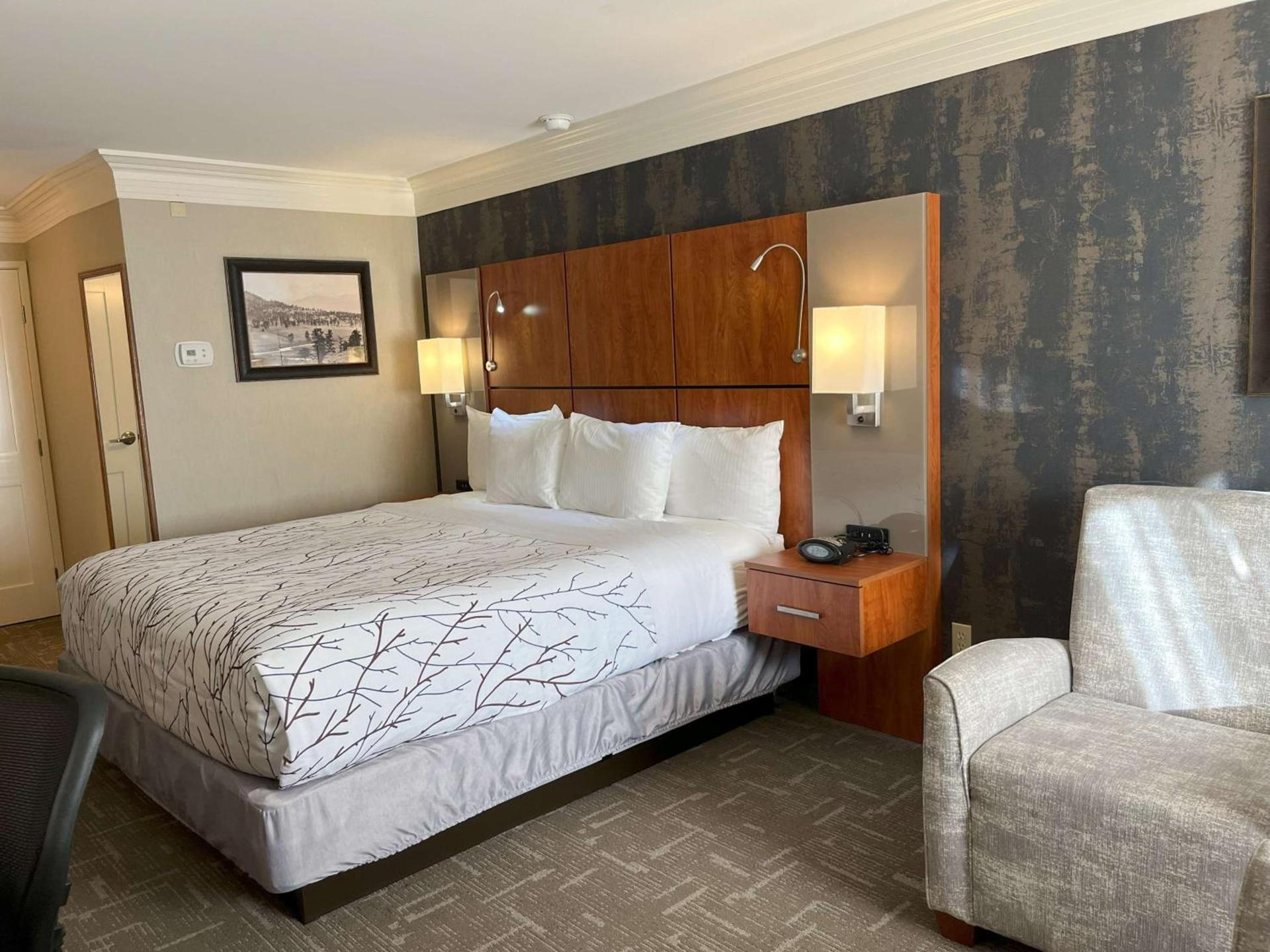 Best Western Plus Silver Saddle Inn photo 5