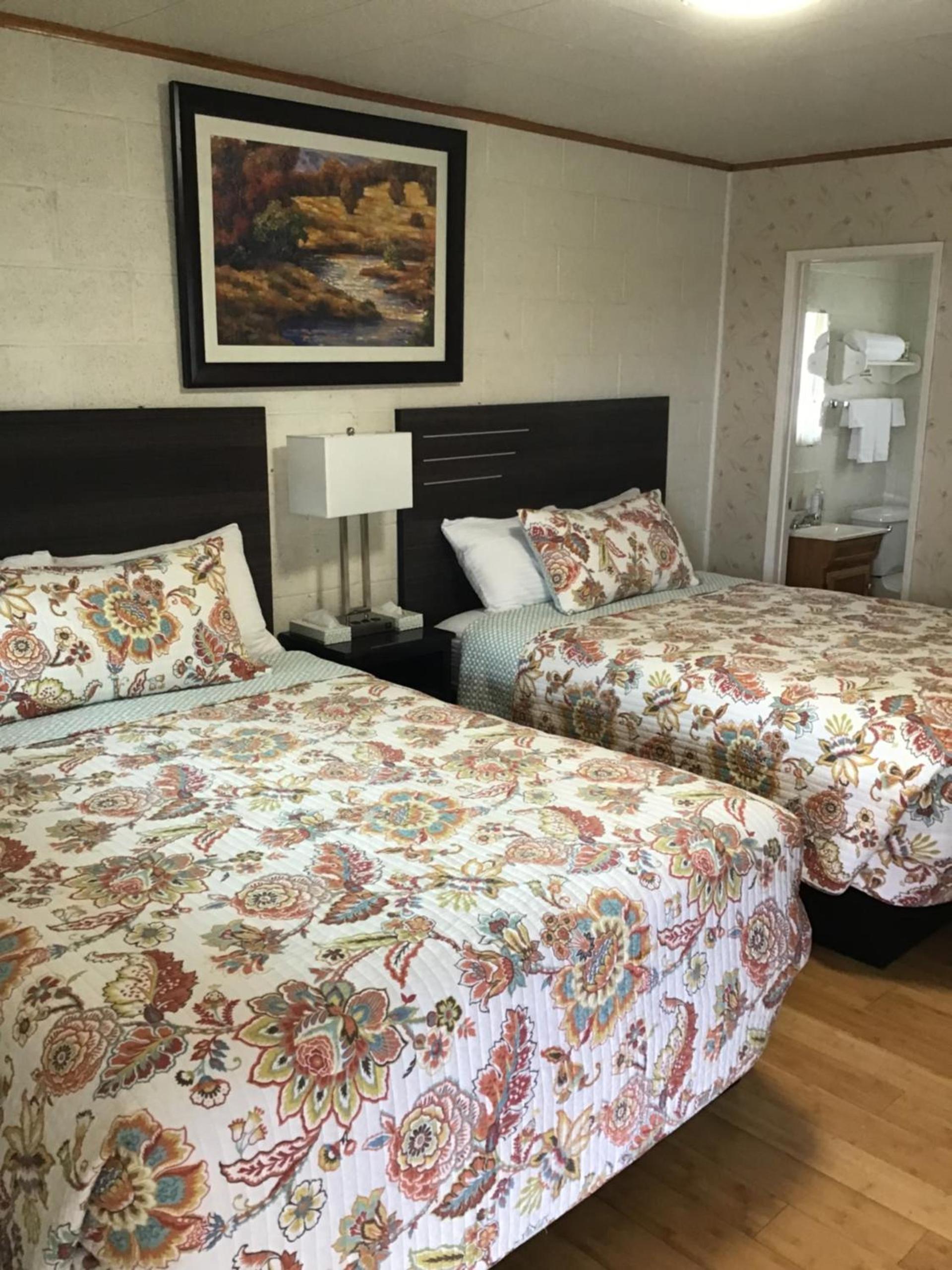 Starlight Motel photo 47