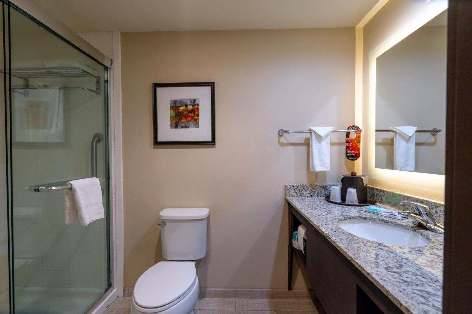 Holiday Inn Murfreesboro by IHG photo 79