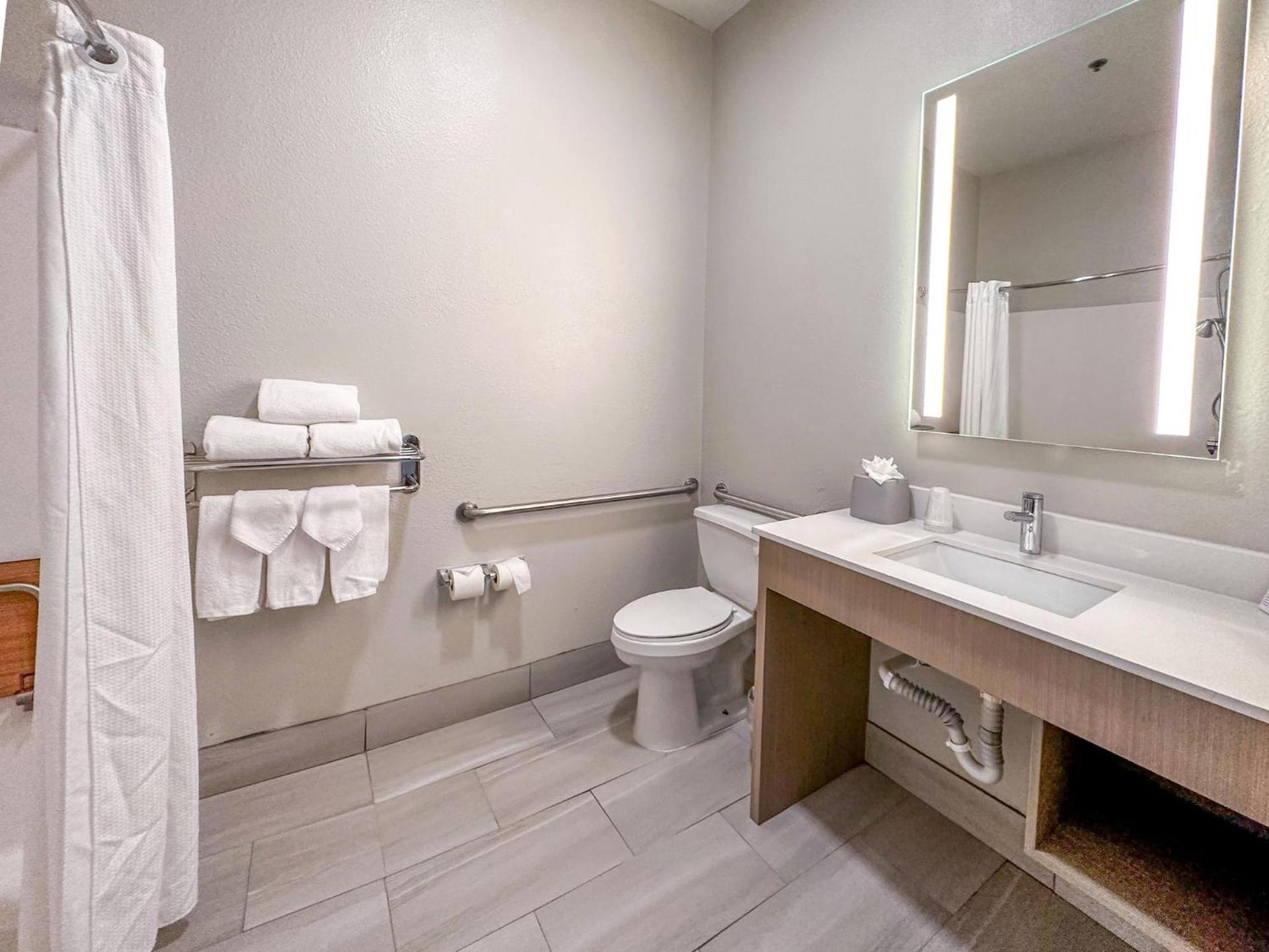 Holiday Inn Express Hotel & Suites Ennis by IHG photo 49