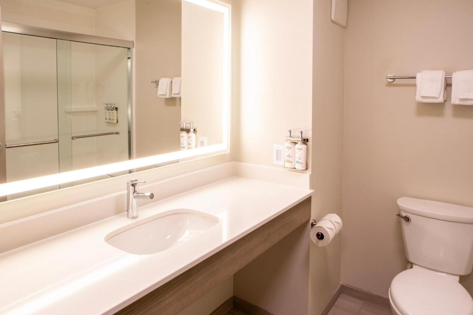 Holiday Inn Express & Suites Sioux City-South by IHG photo 60
