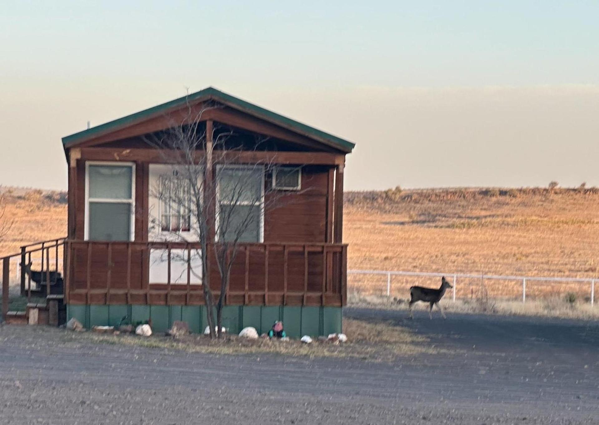Mountain View Lodge photo 15