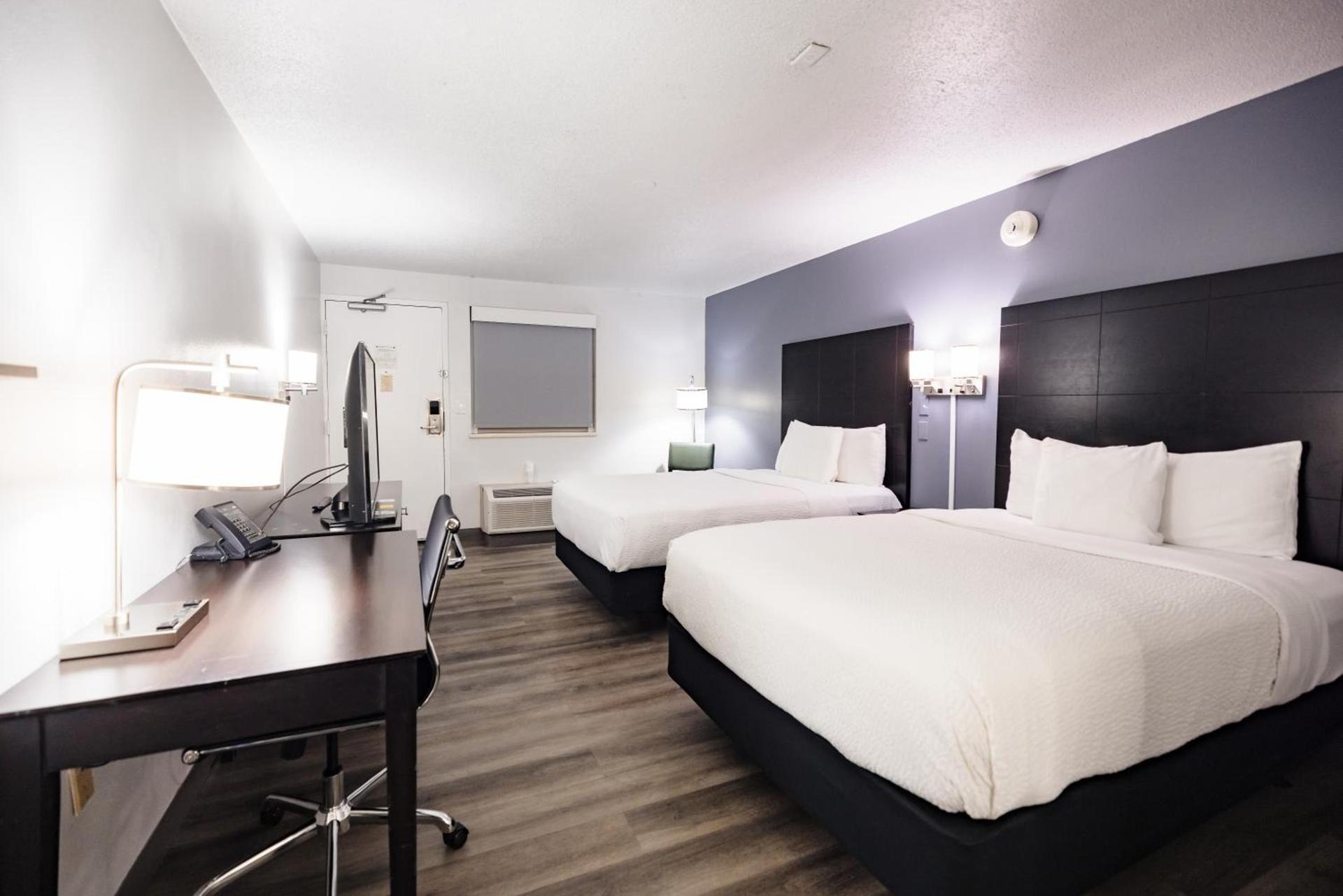 La Quinta Inn by Wyndham Tampa Near Busch Gardens photo 48