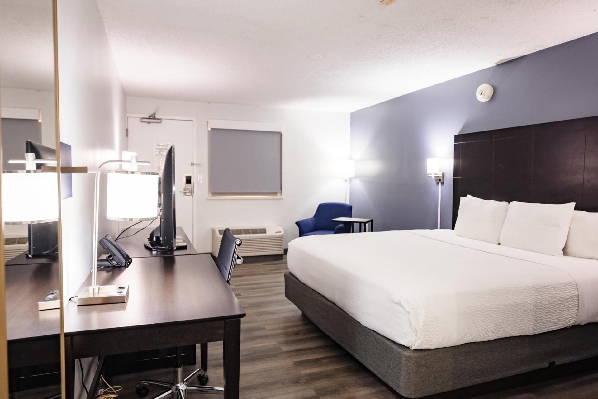 La Quinta Inn by Wyndham Tampa Near Busch Gardens photo 68