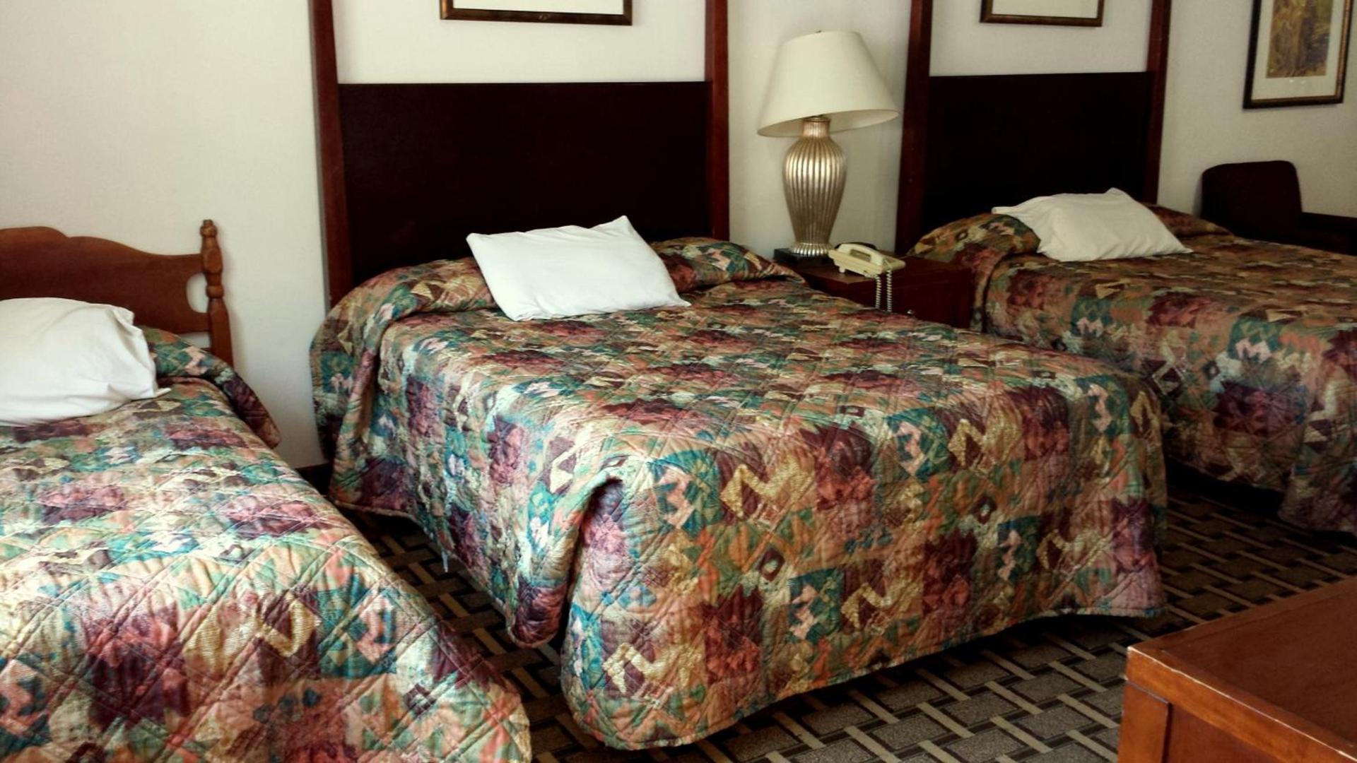 Executive Inn & Suites photo 17
