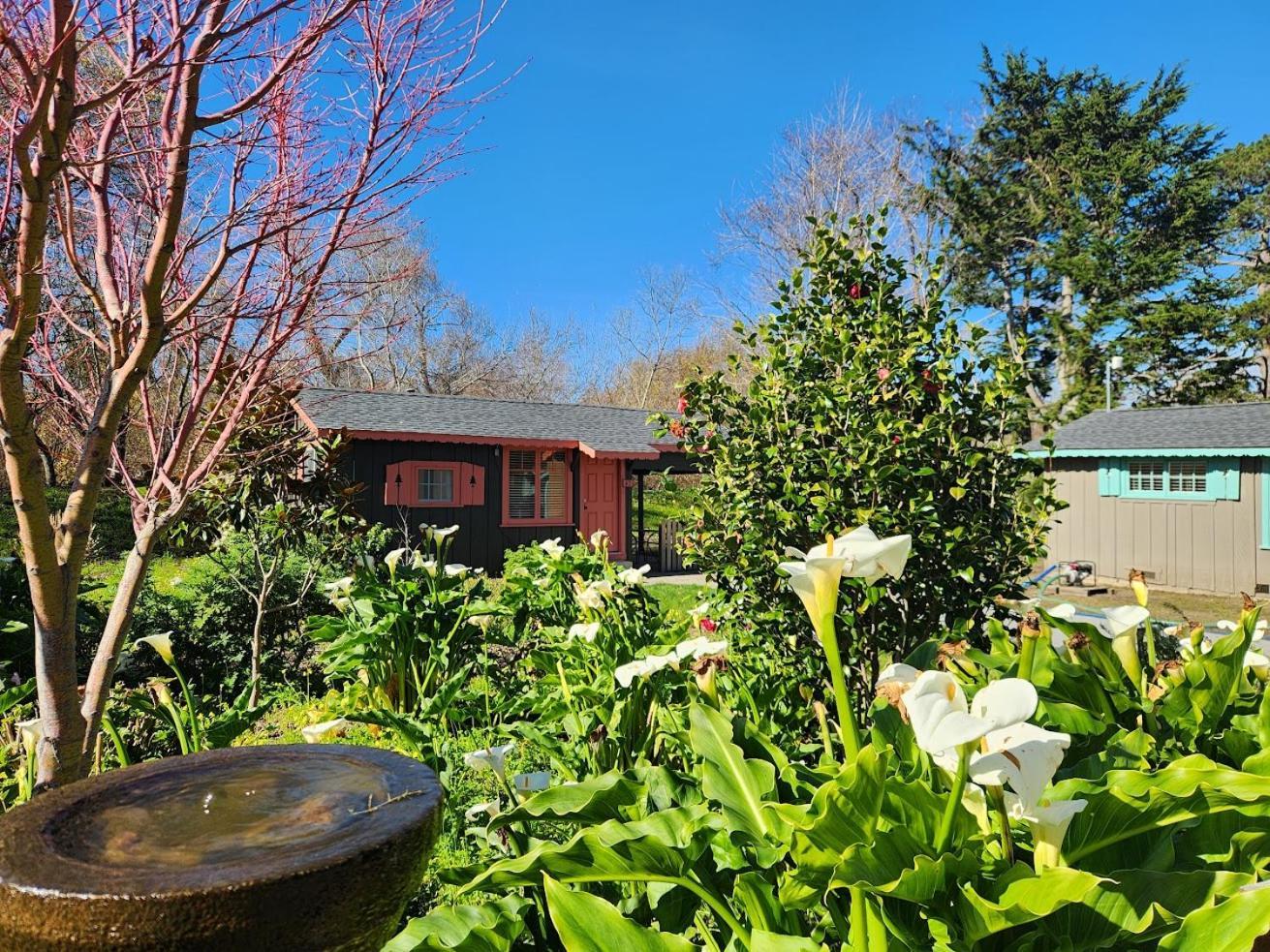 Carmel River Inn & Cottages photo 92