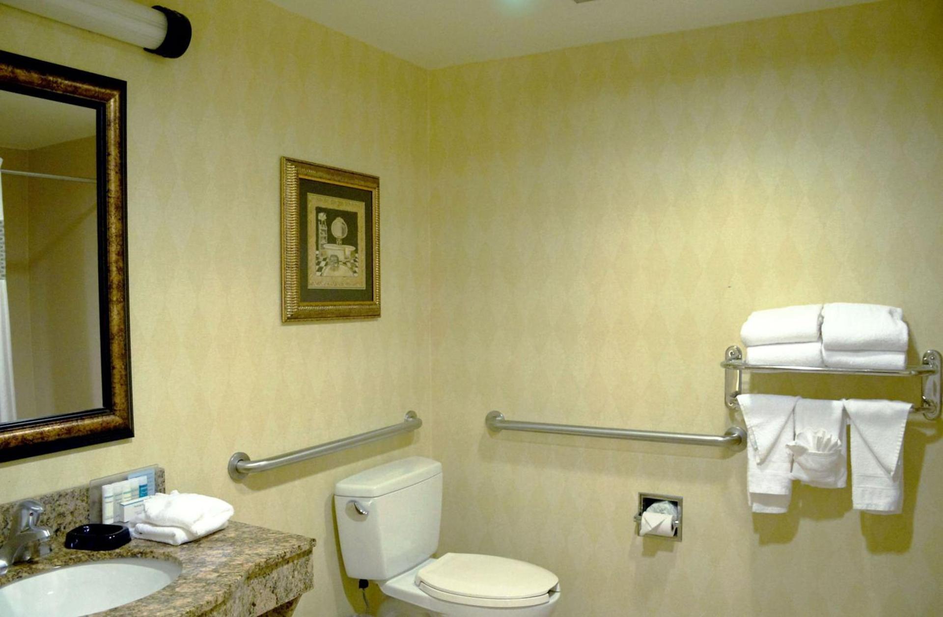 Hampton Inn & Suites Birmingham-Pelham - I-65 photo 42
