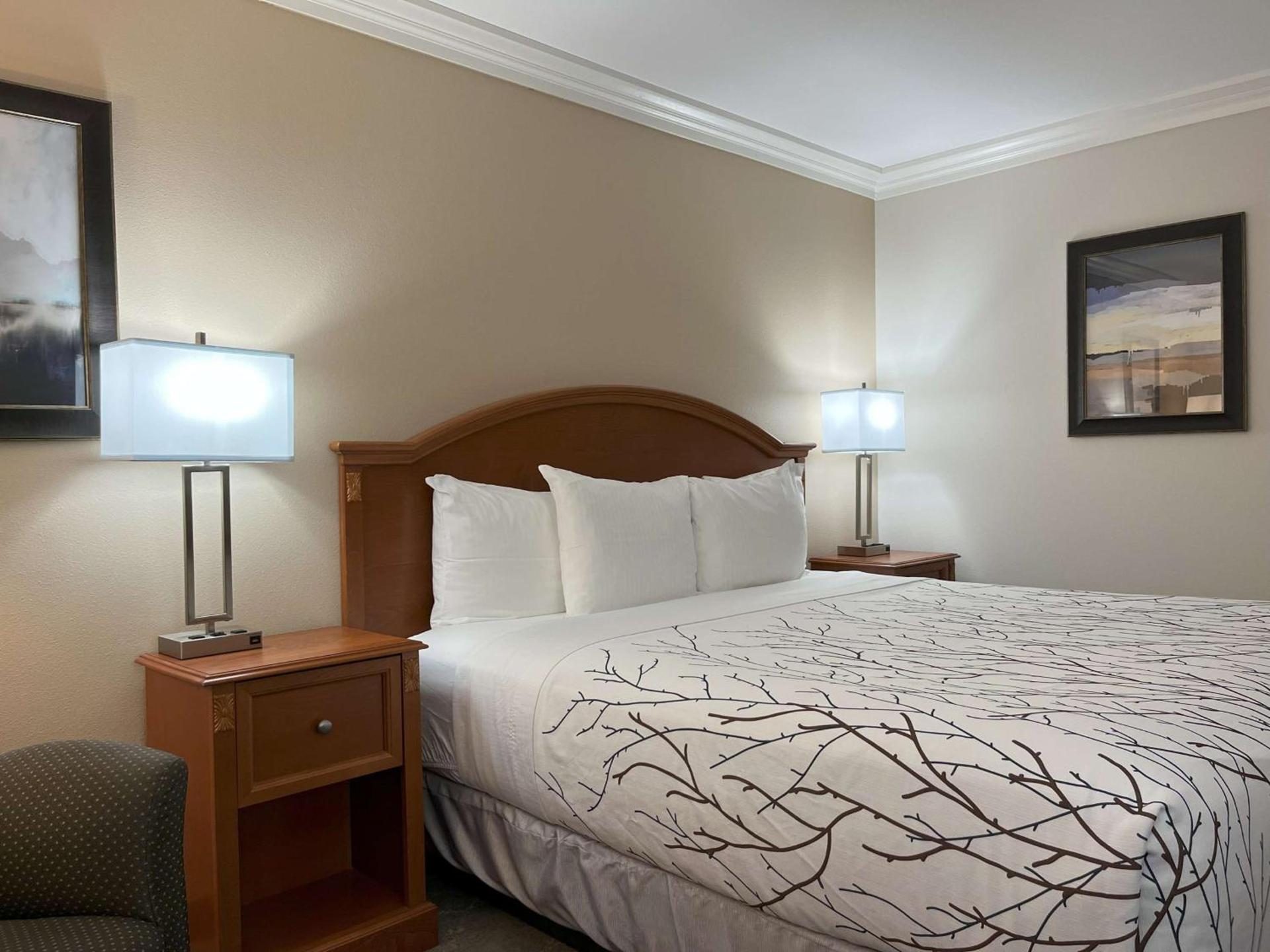 Best Western Plus Silver Saddle Inn photo 41