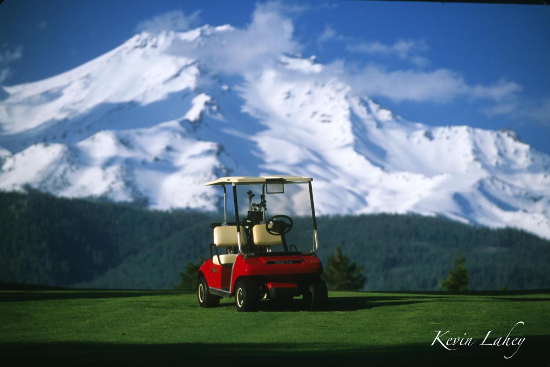 Mount Shasta Resort photo 50