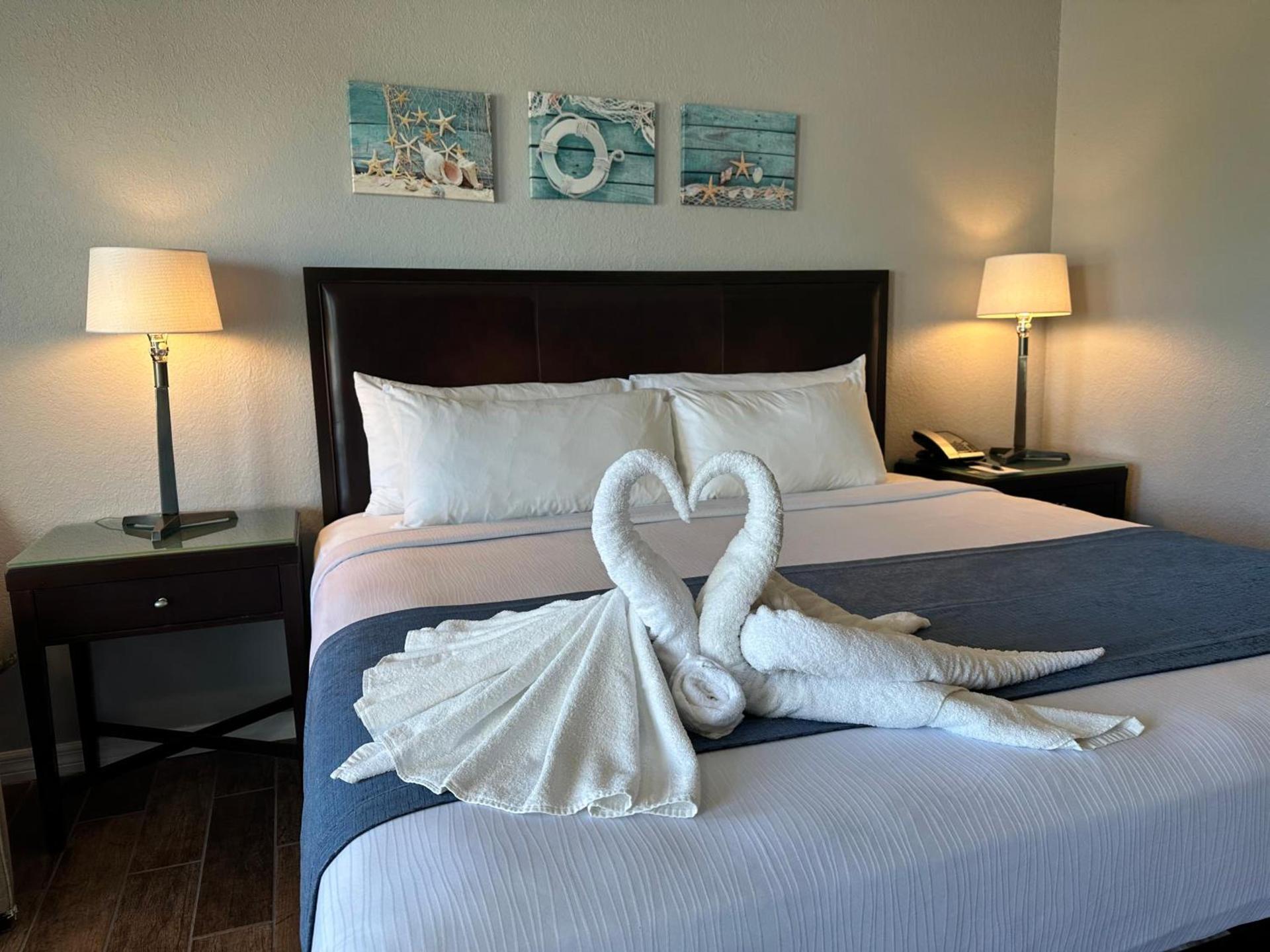 Lantern Inn & Suites - Sarasota photo 6