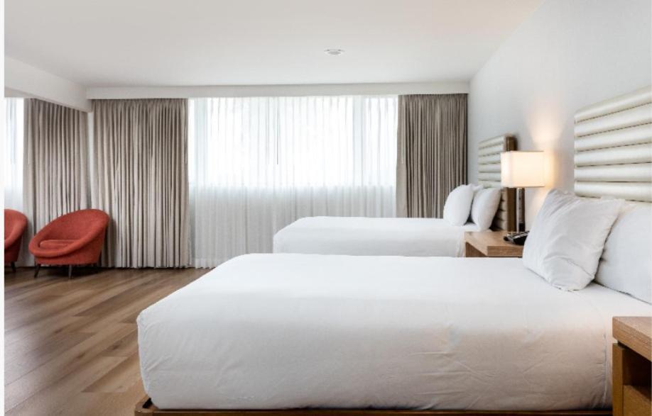 Luxe Sunset Boulevard Hotel photo 10