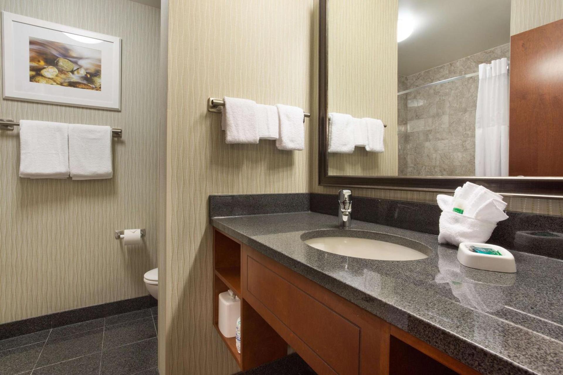 Drury Plaza Hotel Indianapolis Carmel photo 19