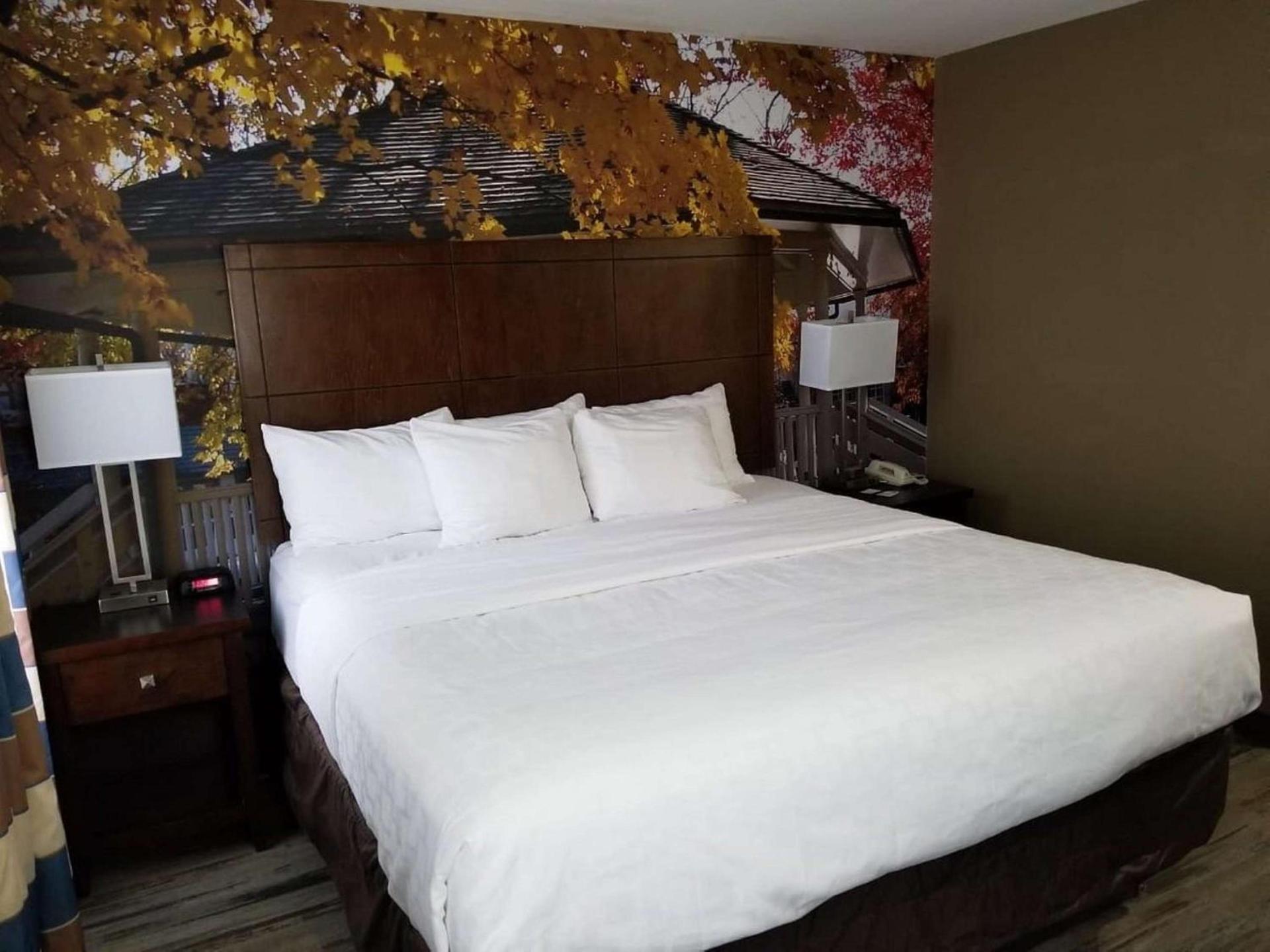 Quality Inn Corydon photo 19