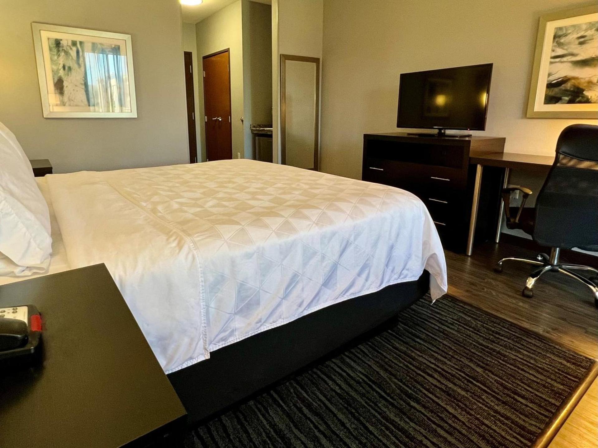 Holiday Inn Carlsbad/San Diego by IHG photo 47
