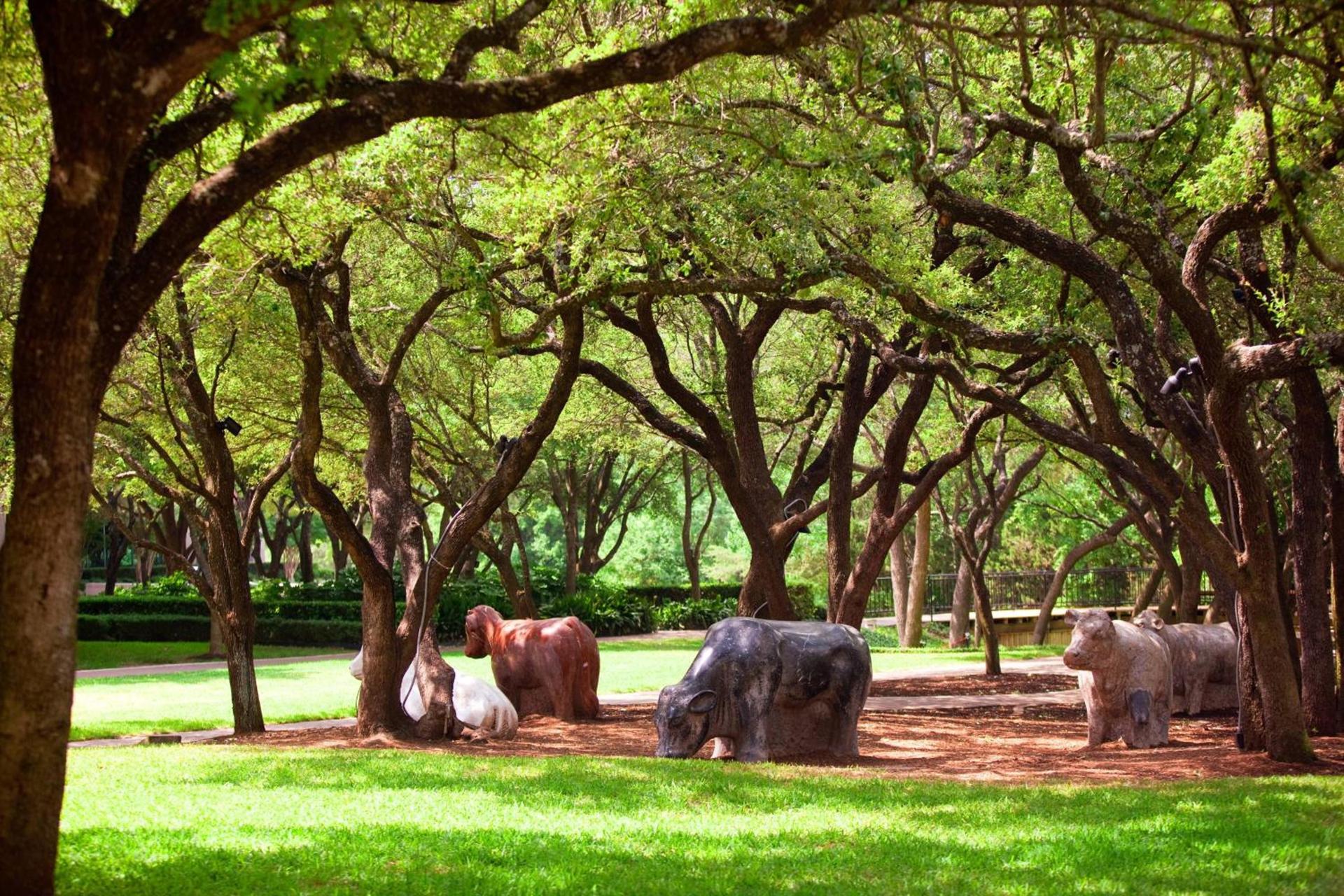 Renaissance Austin Arboretum Domain Hotel photo 46