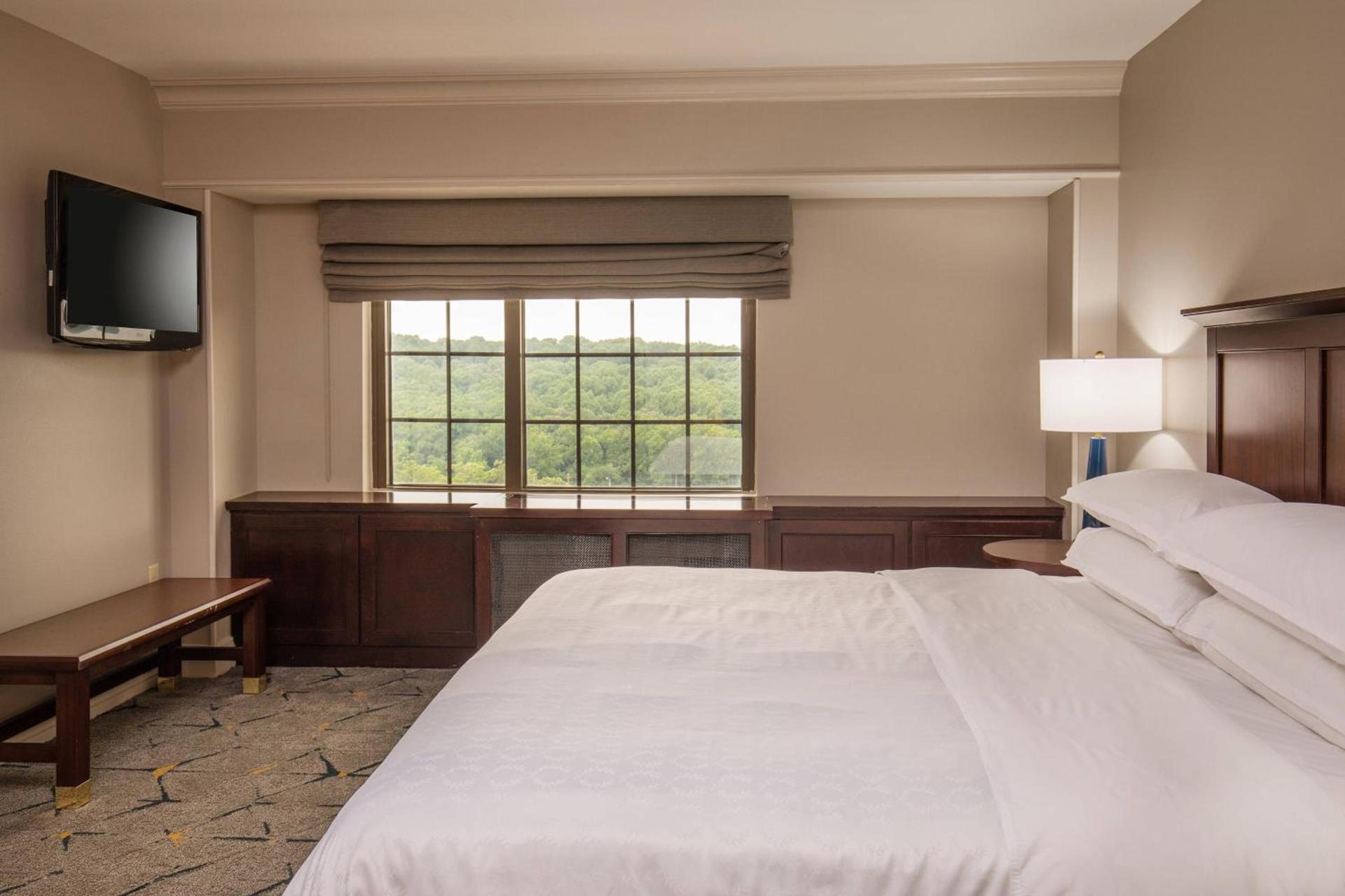 Sheraton Baltimore Washington Airport - BWI photo 25