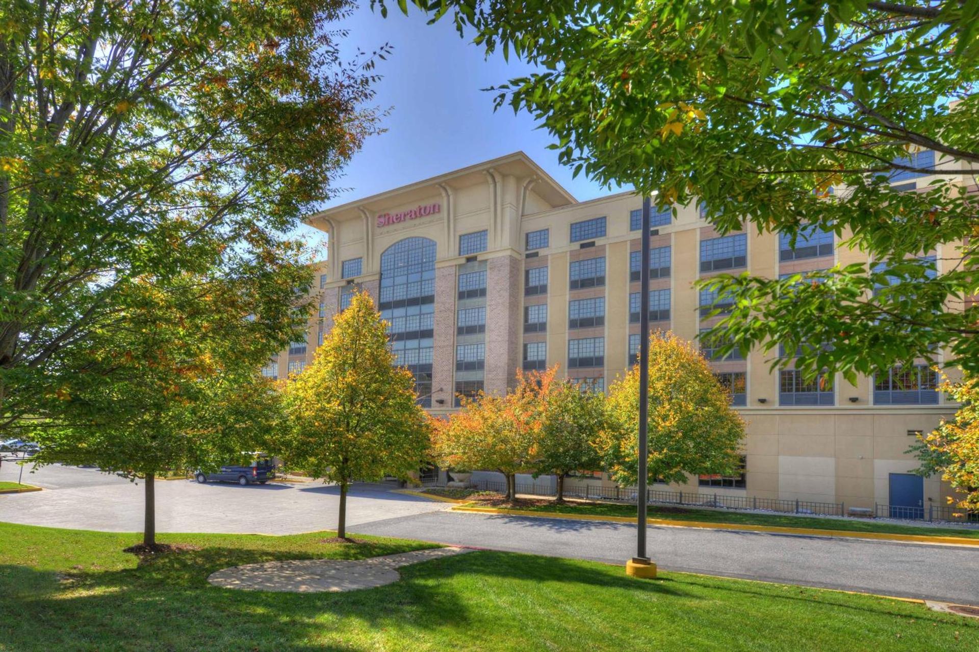 Sheraton Baltimore Washington Airport - BWI photo 8