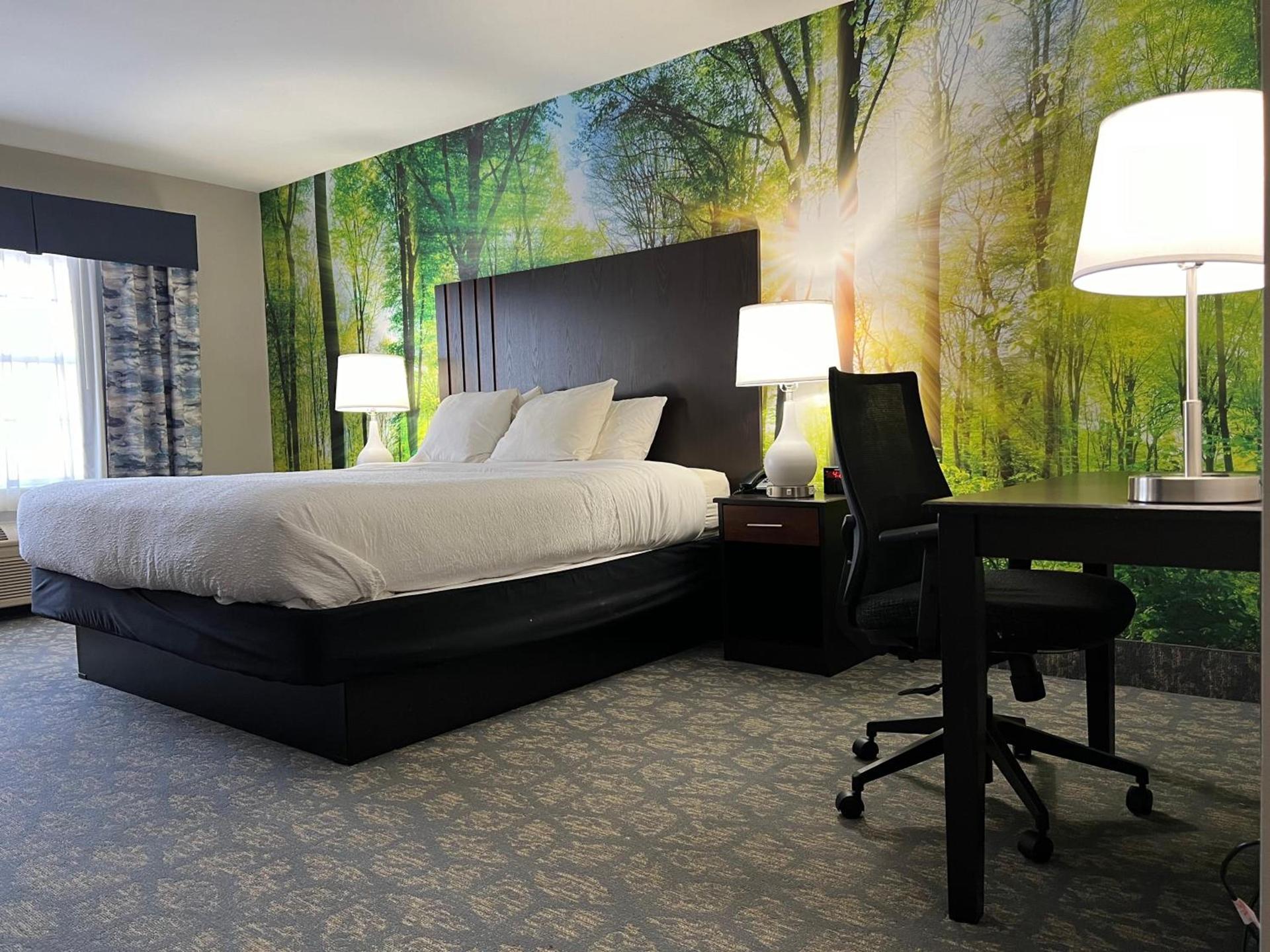 Spark By Hilton Freeport photo 14