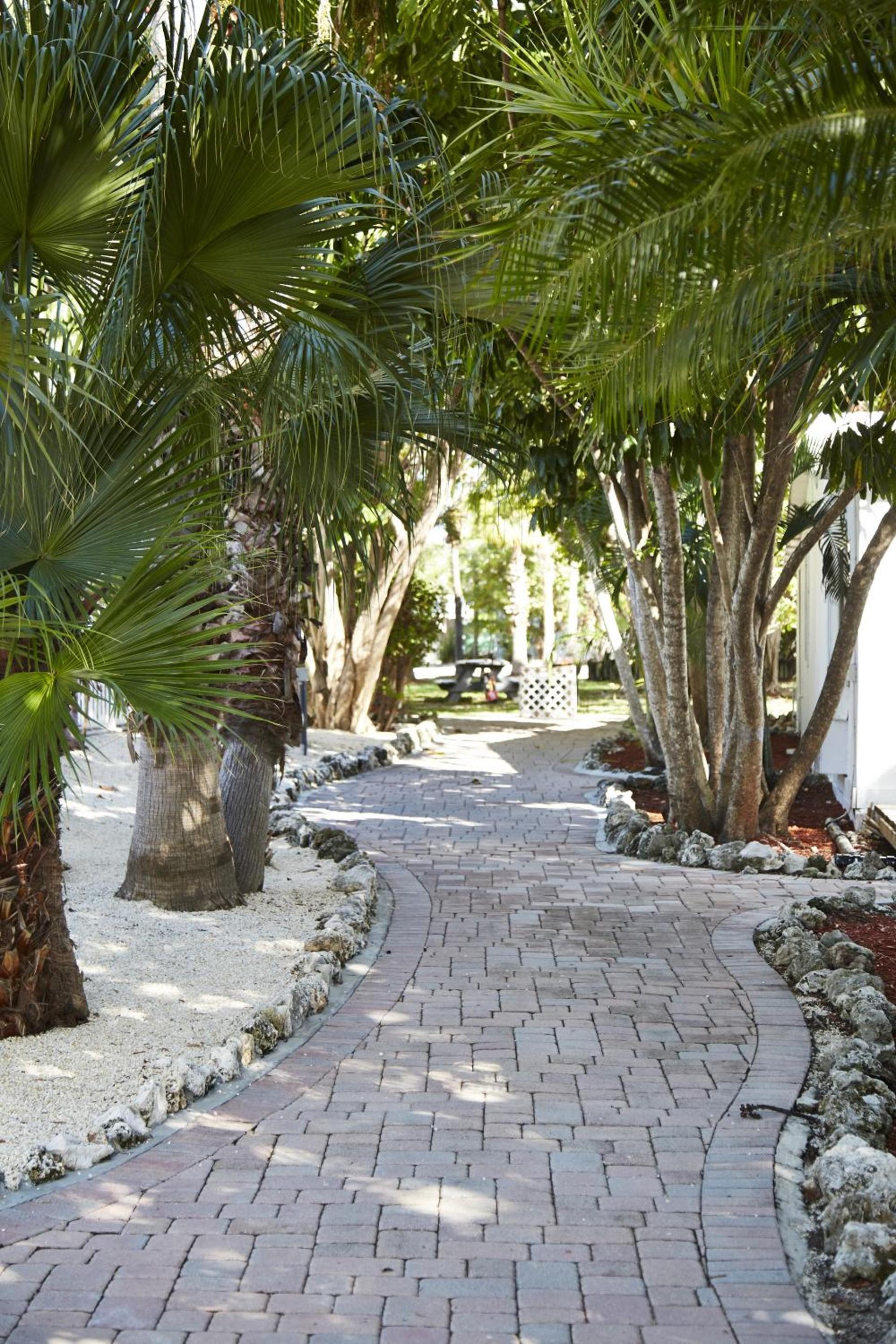 Atlantic Bay Resort photo 12