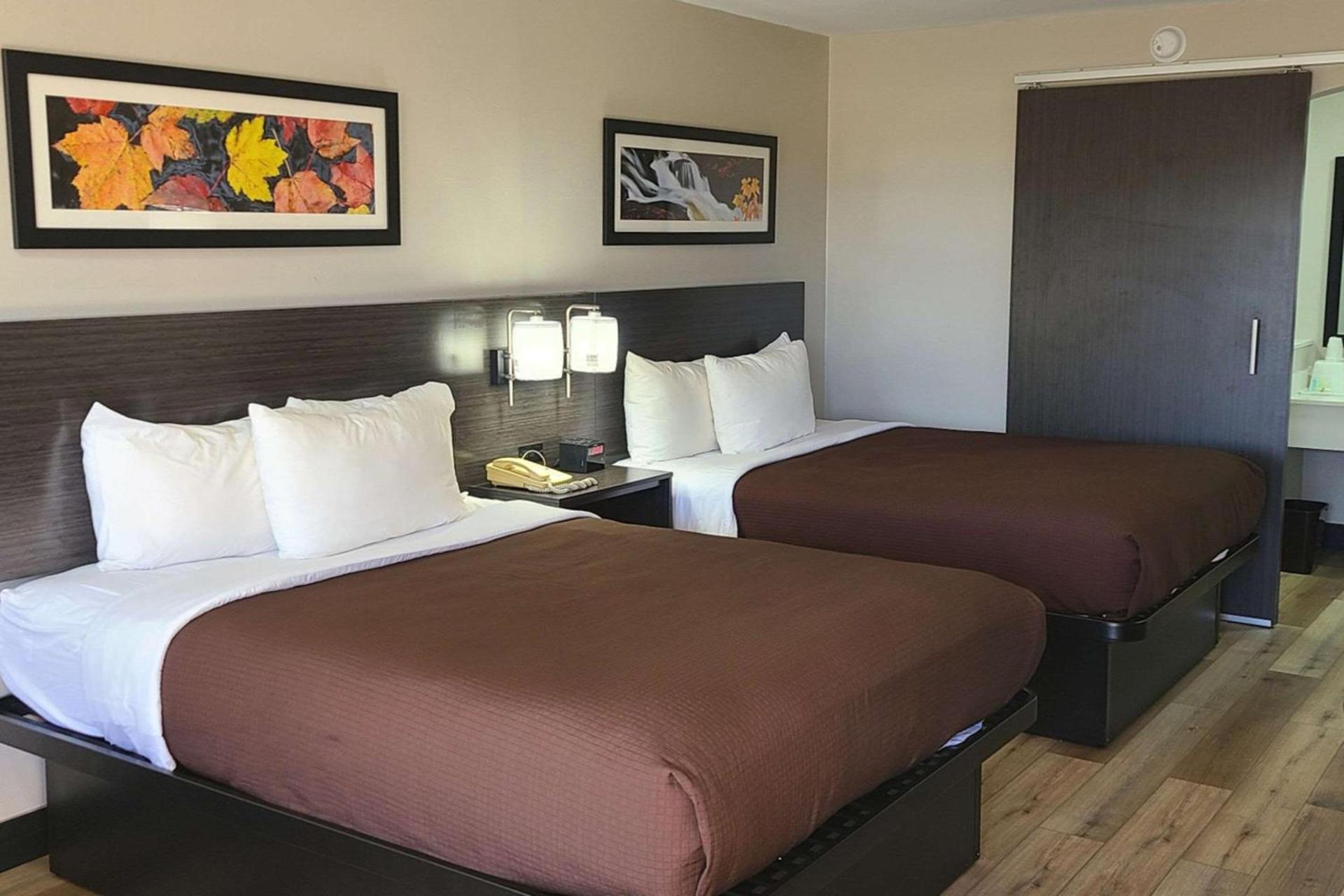 Quality Inn & Suites Dumas photo 2