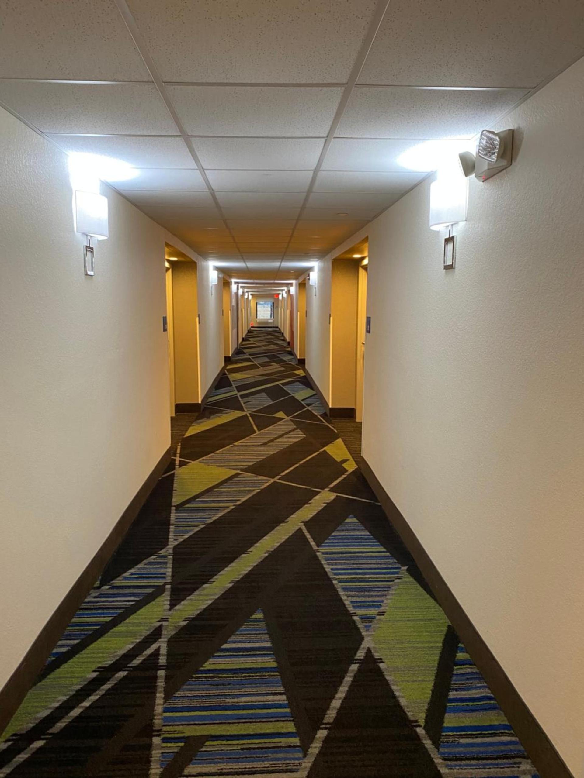Holiday Inn Express Metropolis by IHG photo 8