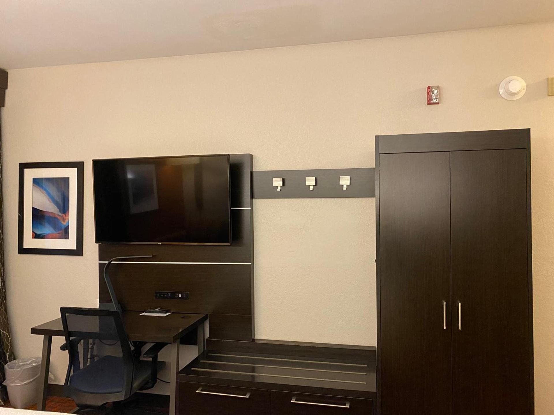 Holiday Inn Express Metropolis by IHG photo 16