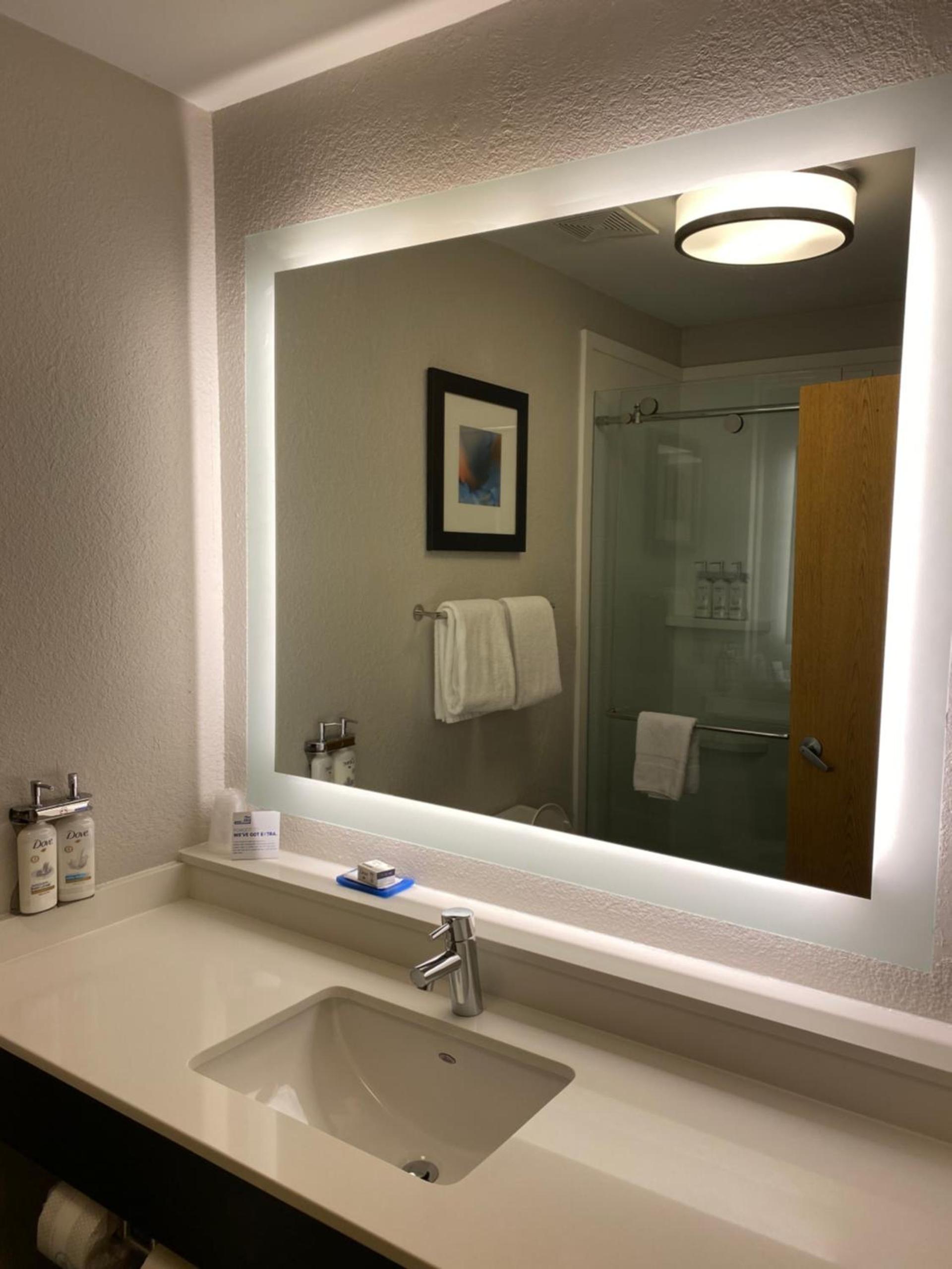 Holiday Inn Express Metropolis by IHG photo 17
