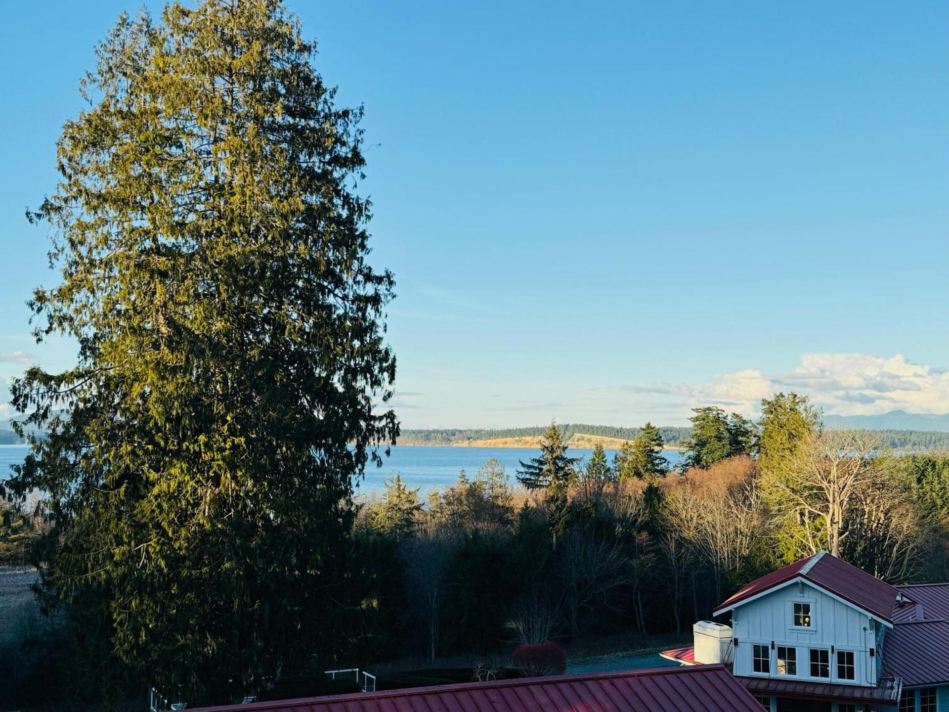 Anacortes Ship Harbor Inn photo 2