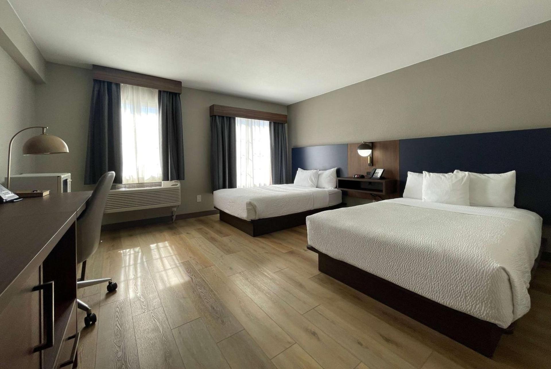 La Quinta by Wyndham Dallas DFW Airport North photo 11
