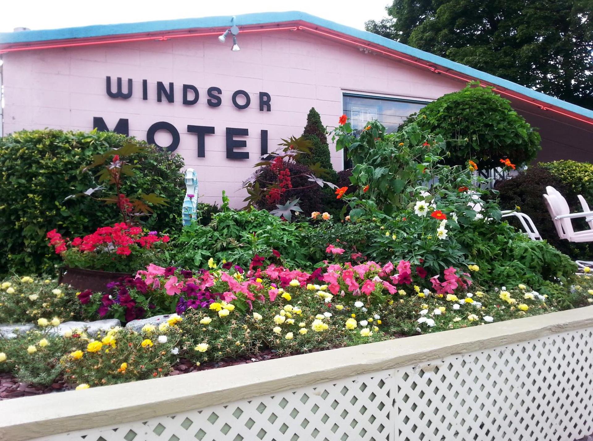 Windsor Motel photo 12