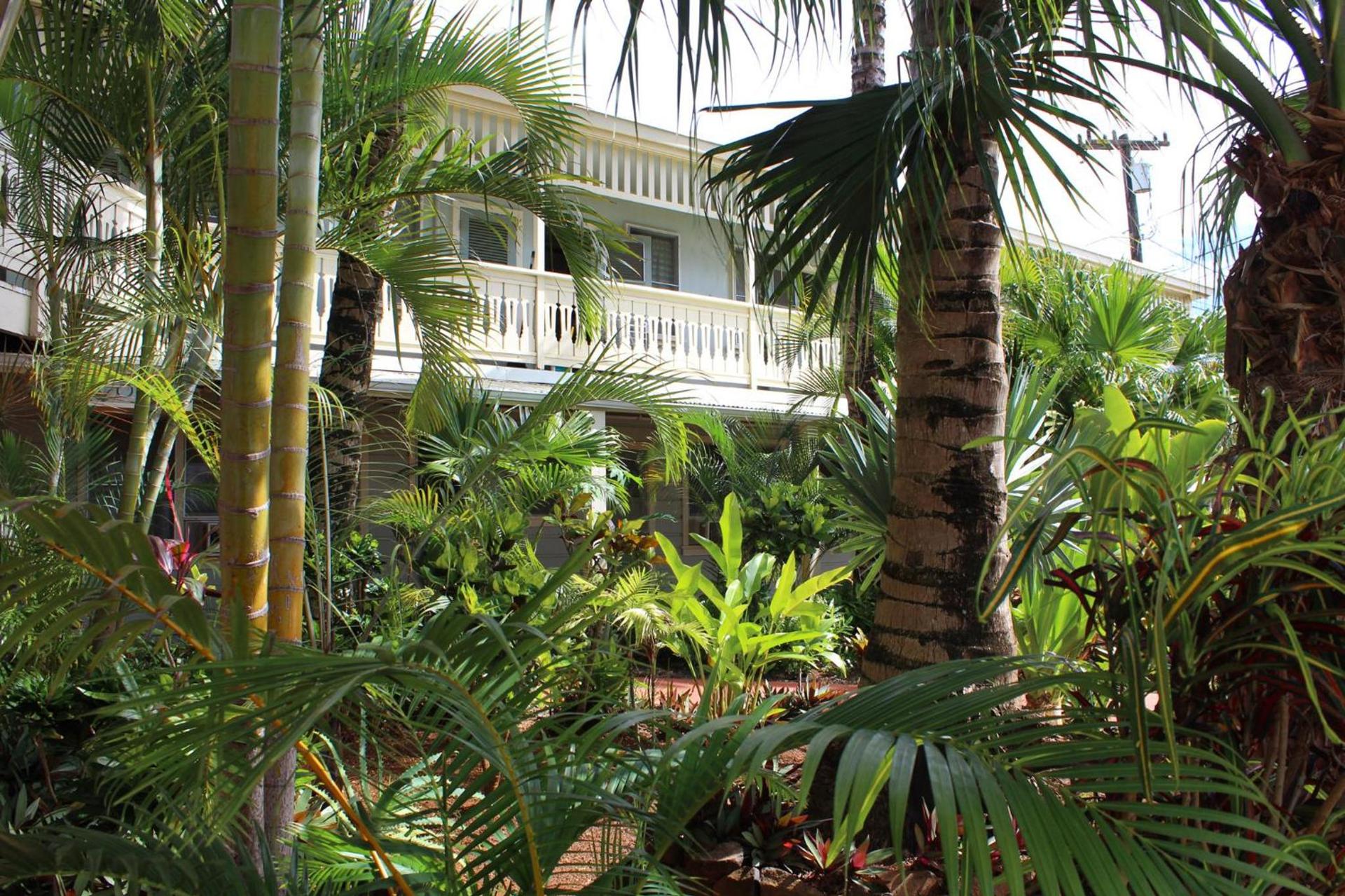 Kauai Palms Hotel photo 3