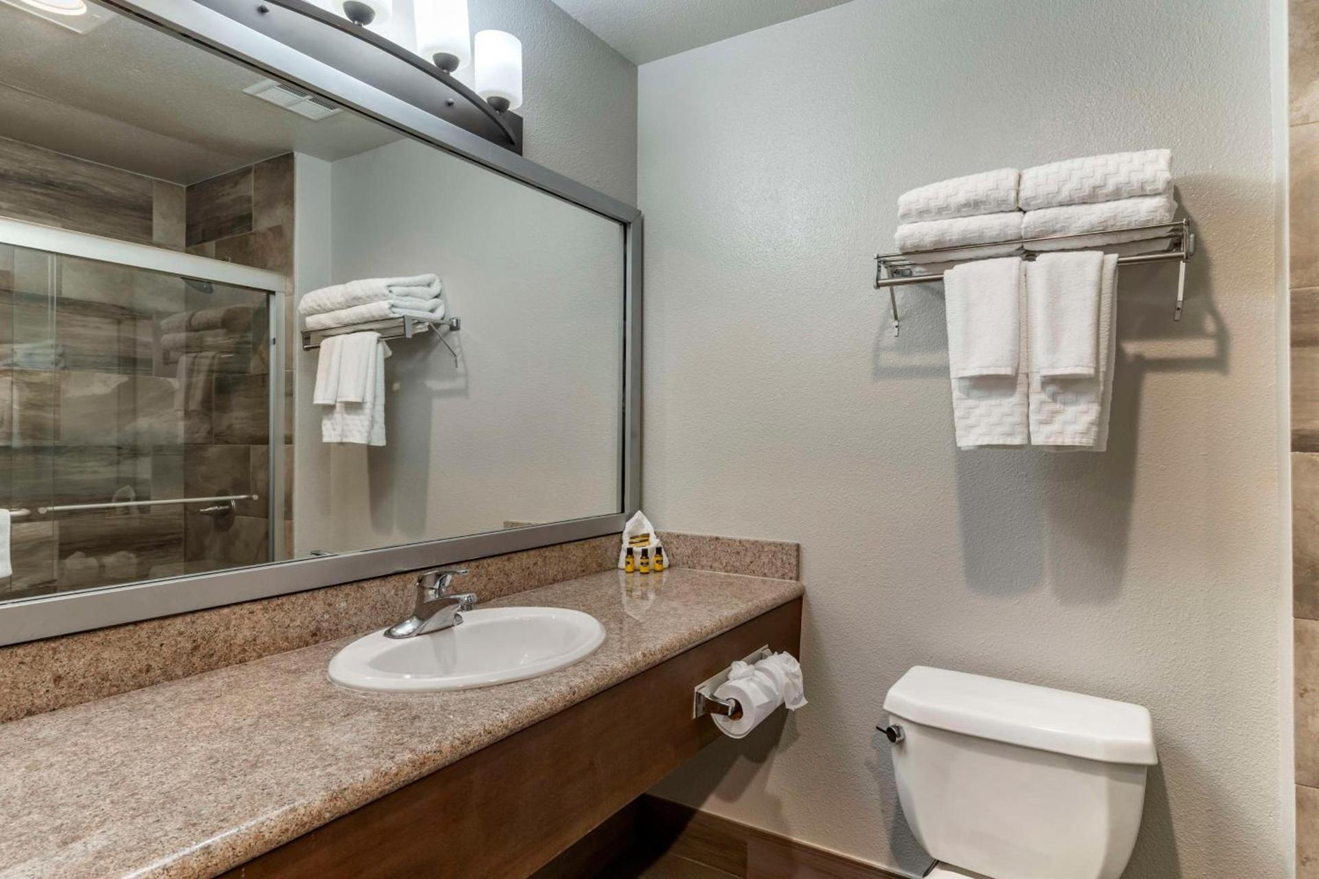 Best Western Plus Vineyard Inn photo 49