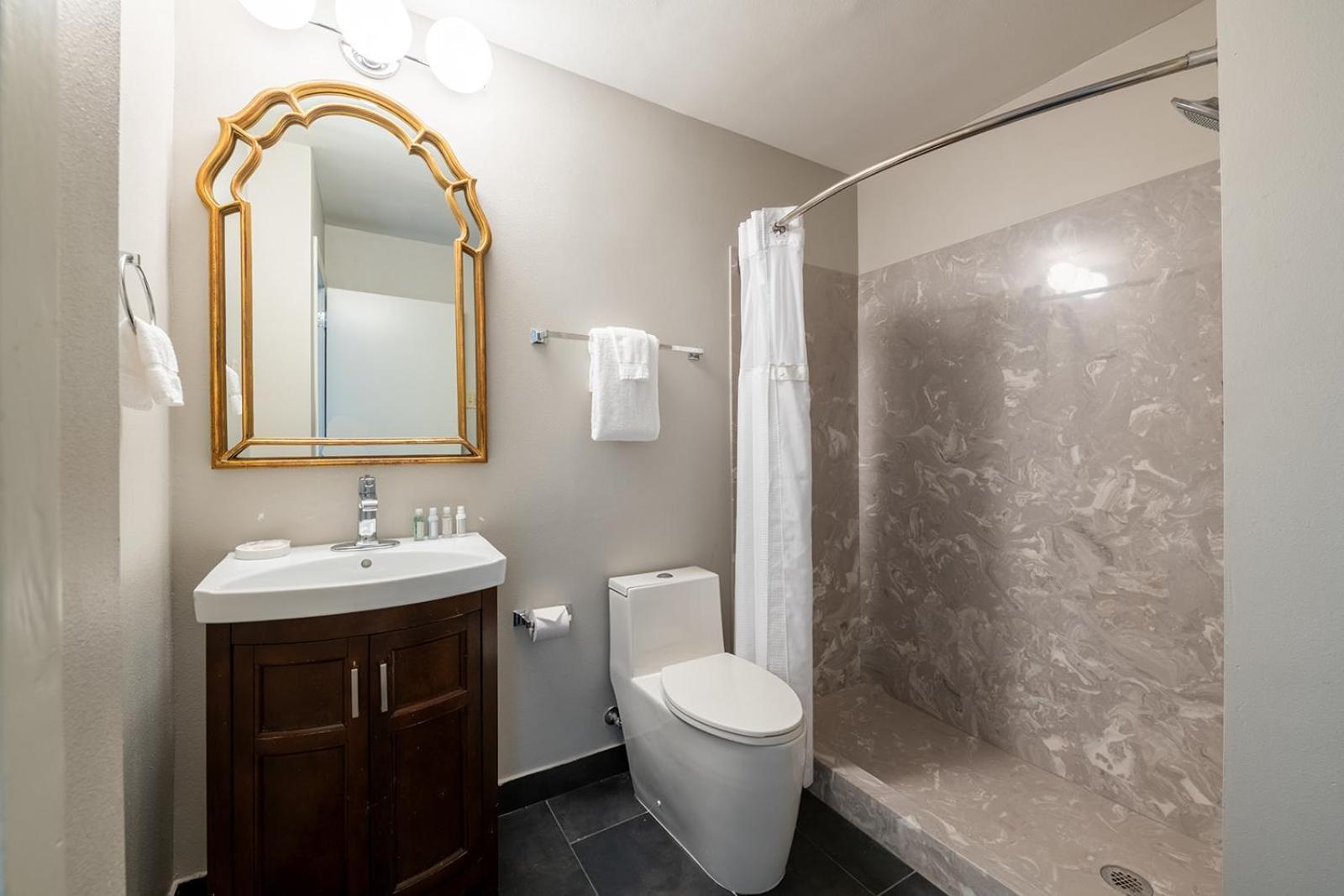 French Quarter Suites Hotel photo 47