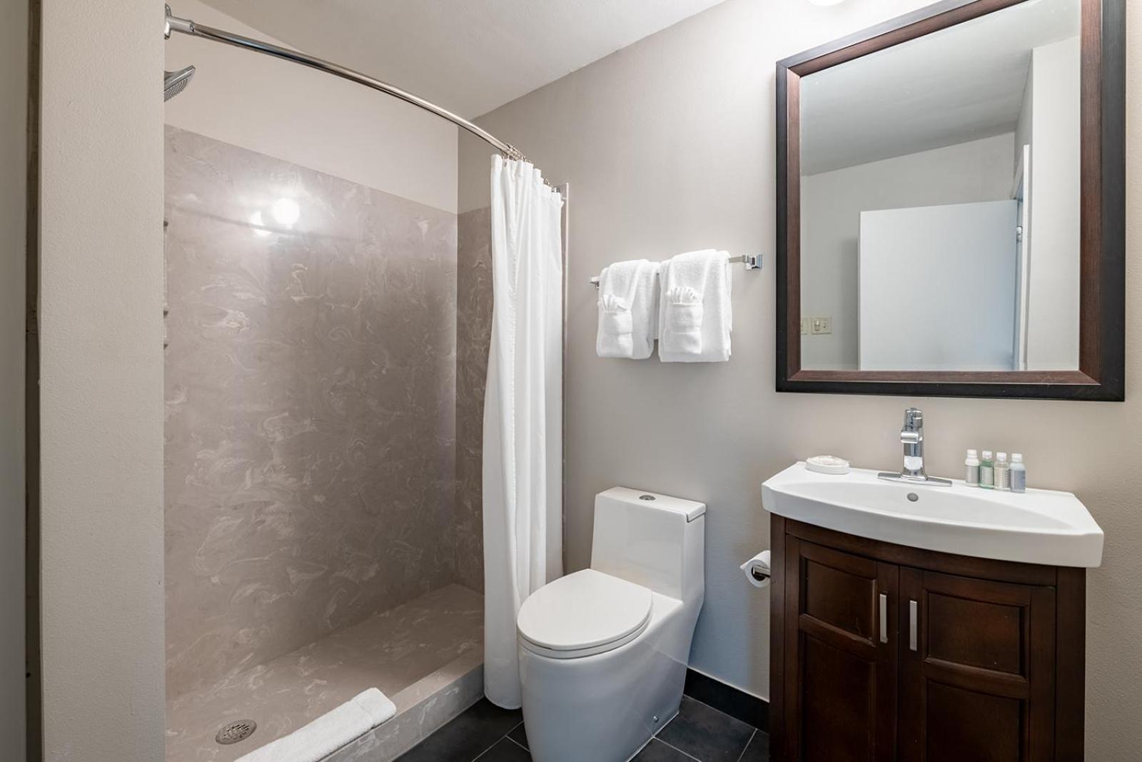 French Quarter Suites Hotel photo 60