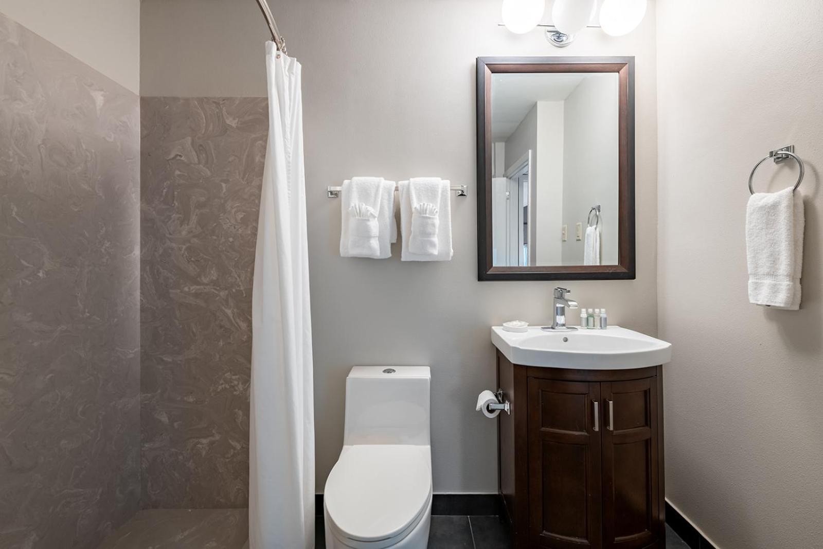French Quarter Suites Hotel photo 53