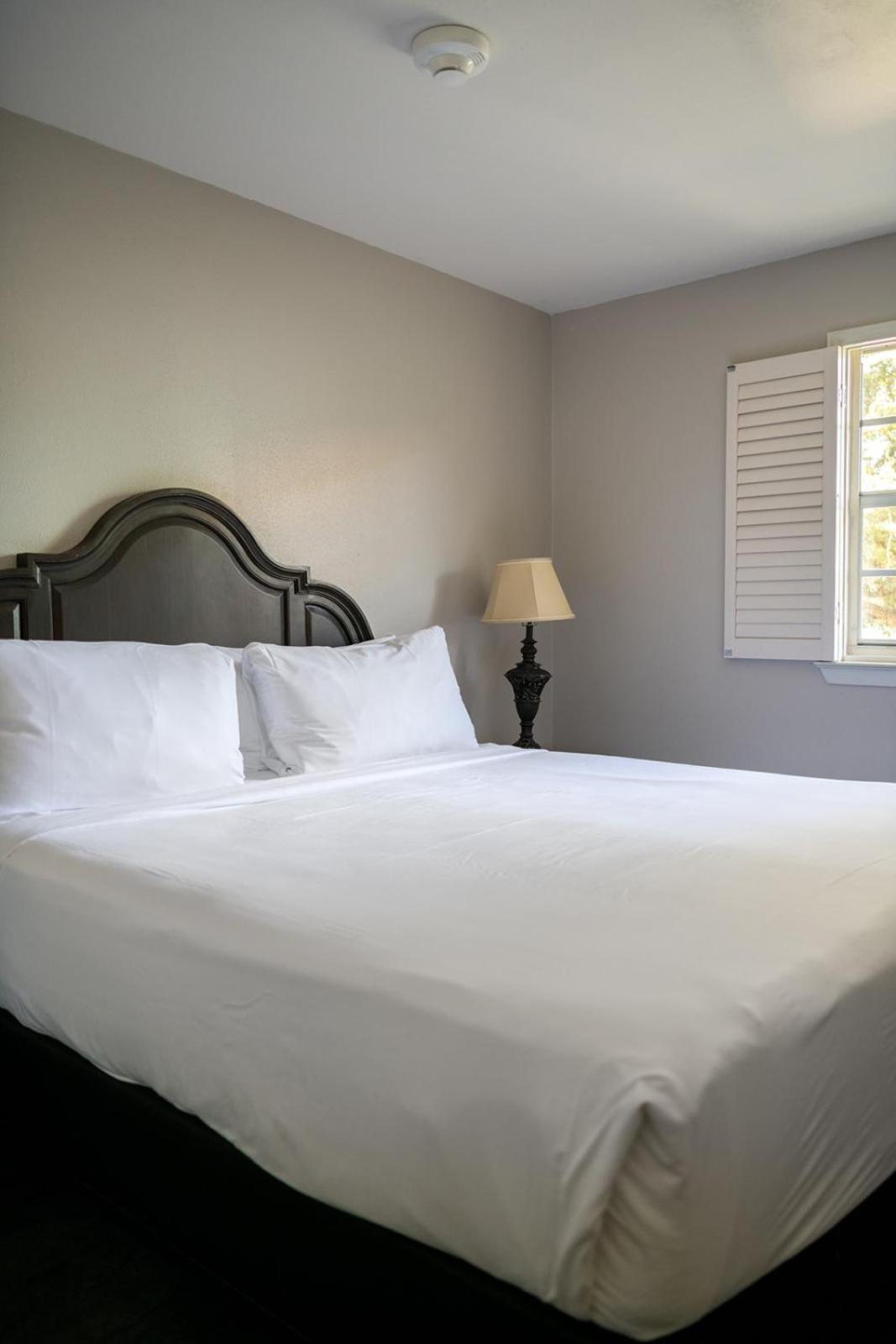 French Quarter Suites Hotel photo 74