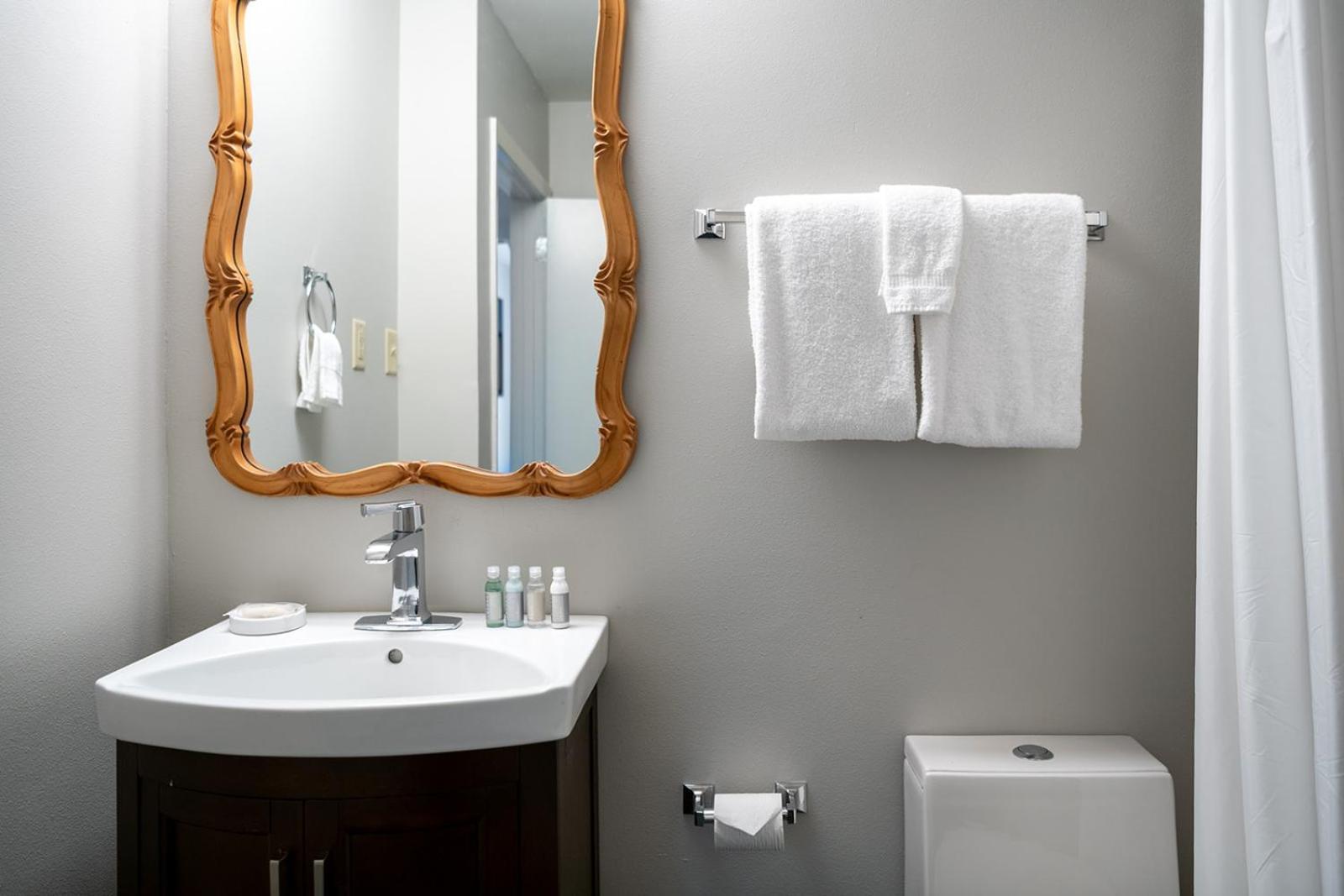 French Quarter Suites Hotel photo 78