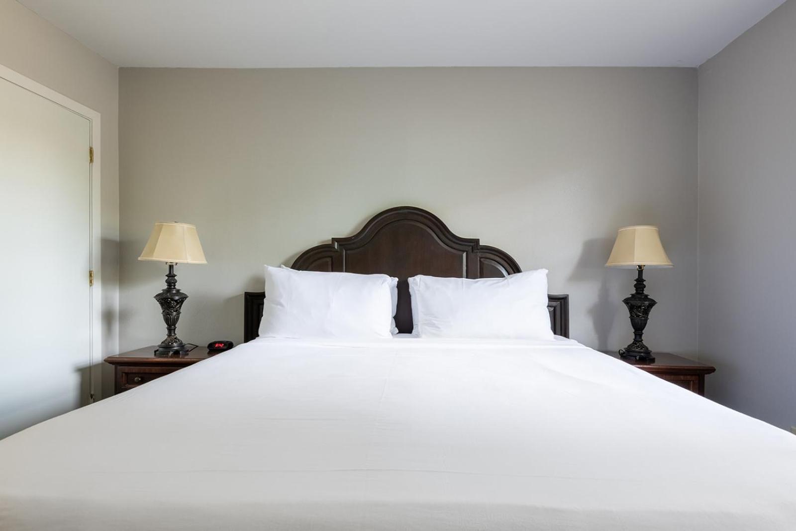 French Quarter Suites Hotel photo 73