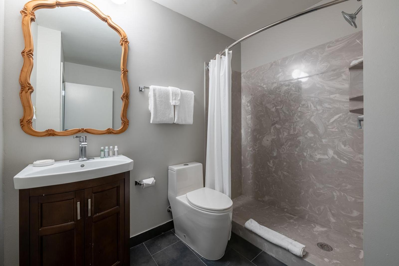 French Quarter Suites Hotel photo 71
