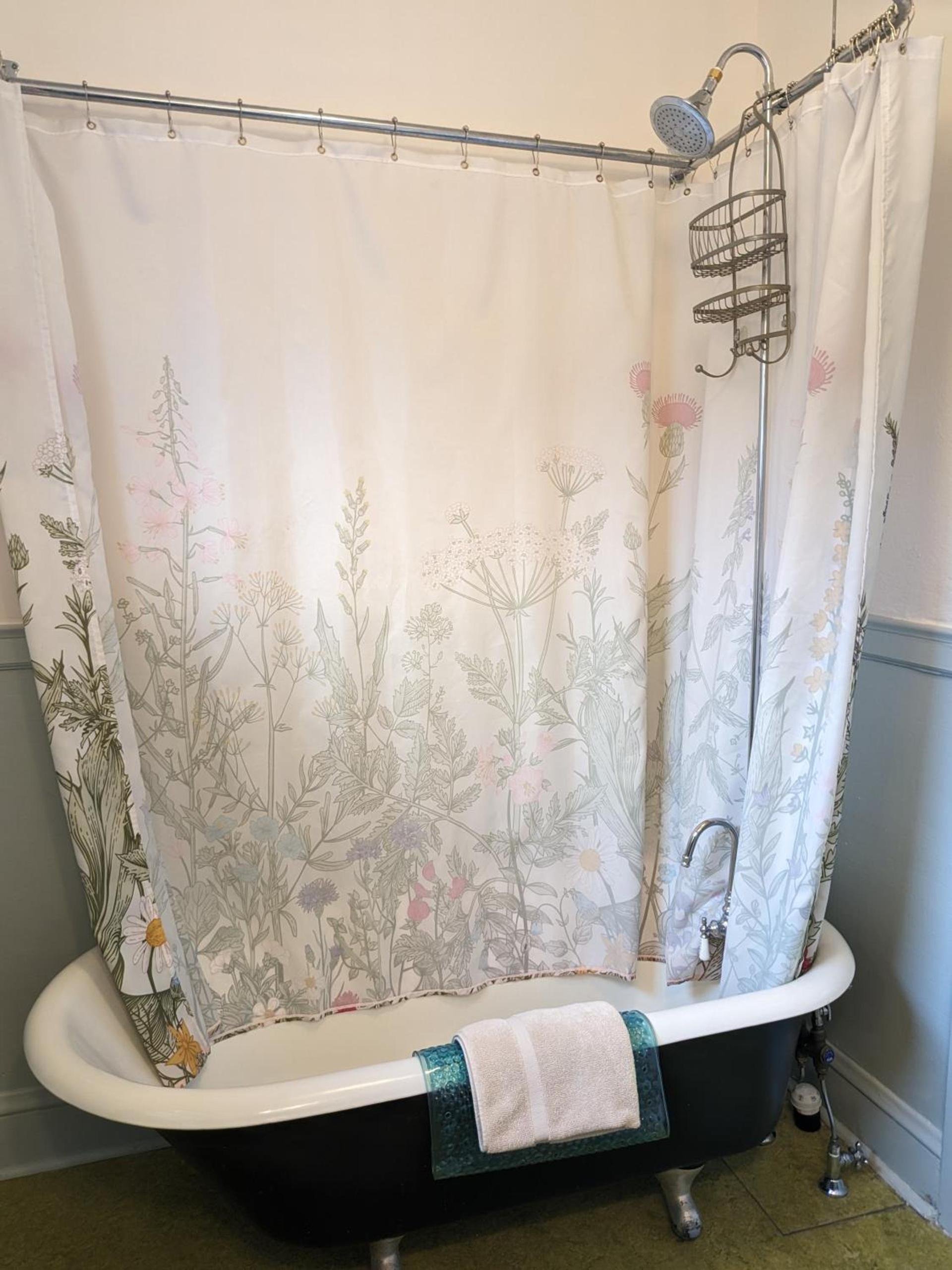 Bluebird Guesthouse photo 35