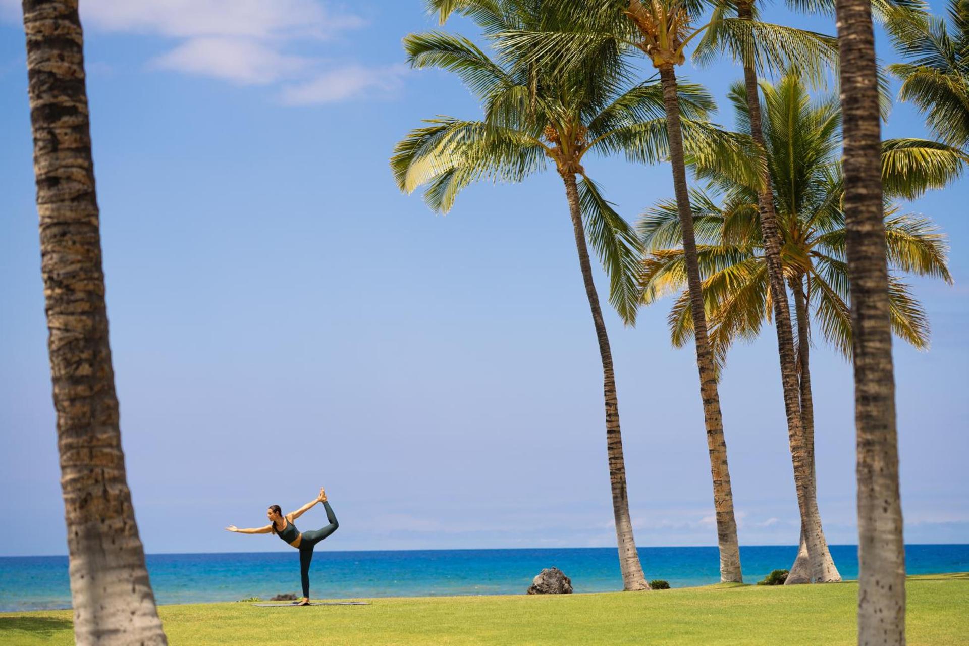Fairmont Orchid photo 5