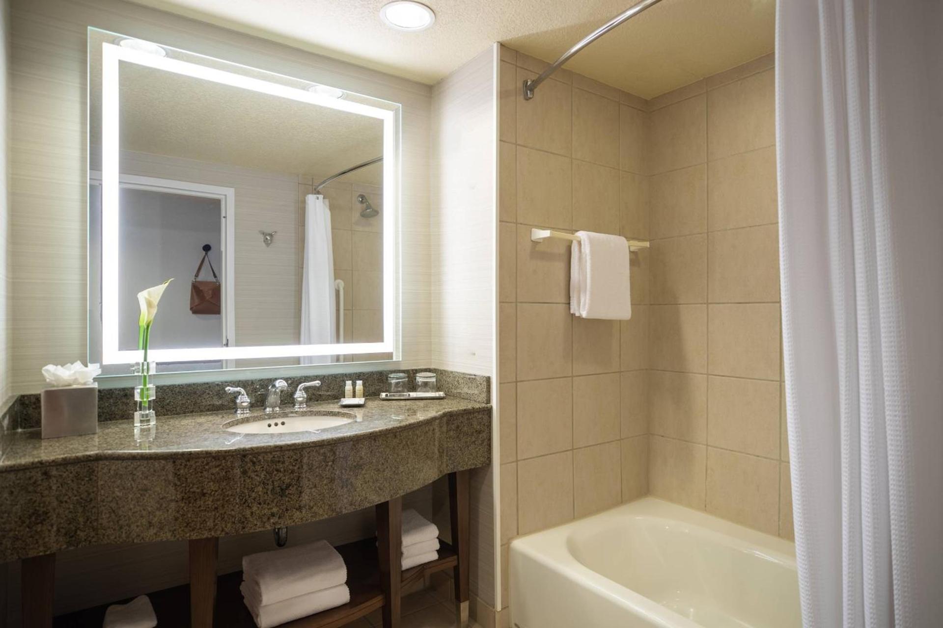Renaissance Dallas Richardson Hotel photo 7