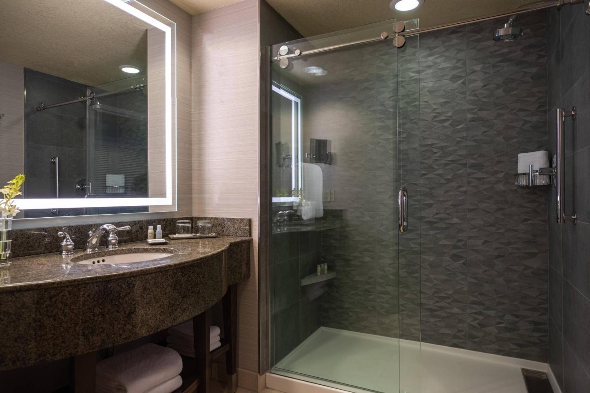 Renaissance Dallas Richardson Hotel photo 8