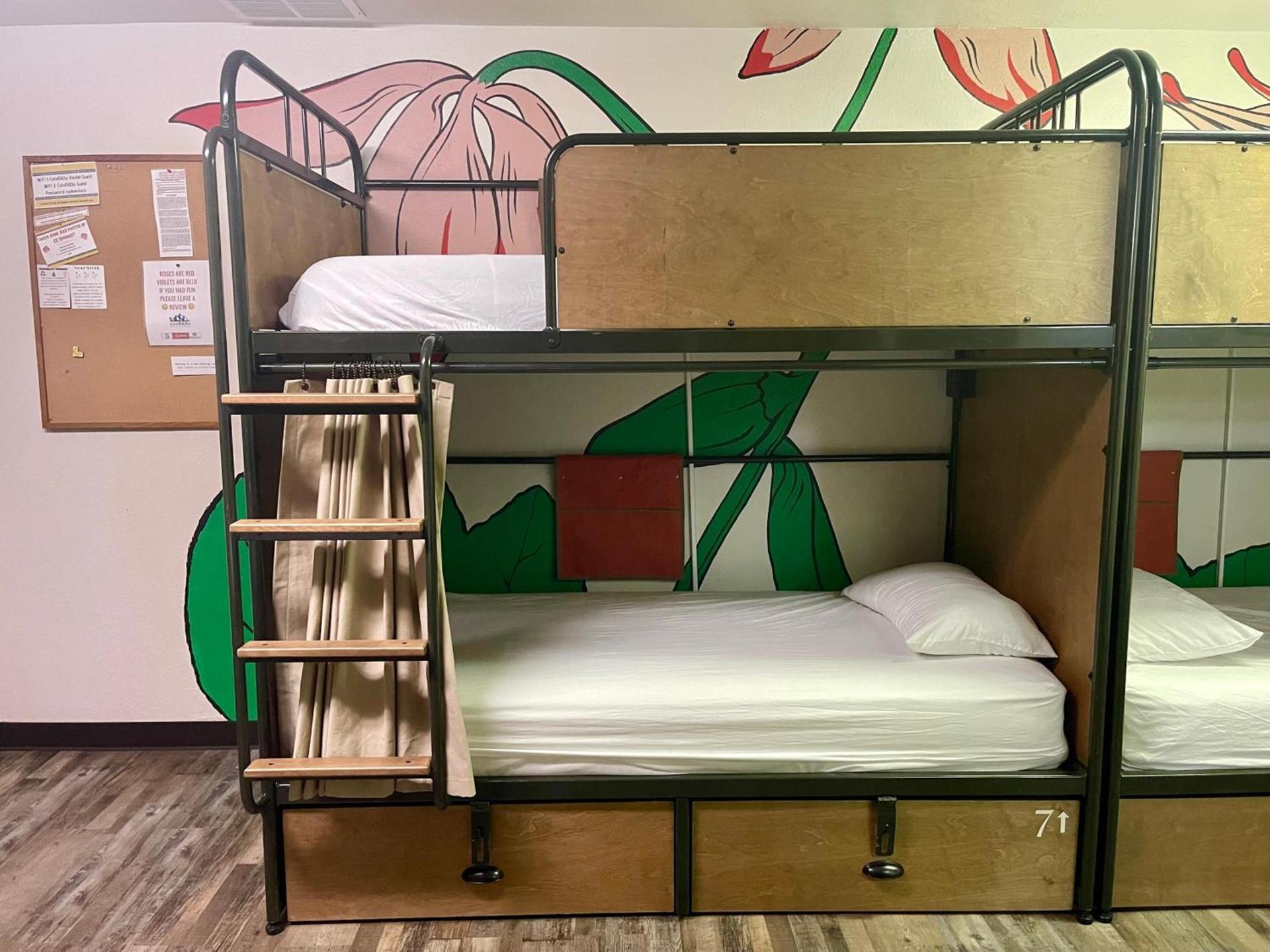 RAD Hostel photo 6