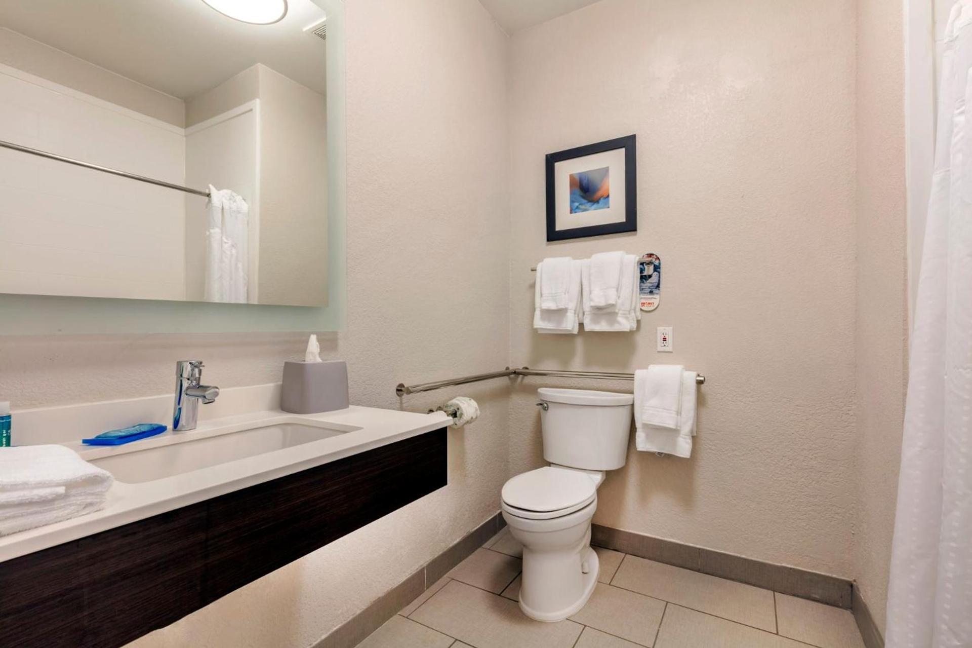 Holiday Inn Express Metropolis by IHG photo 53