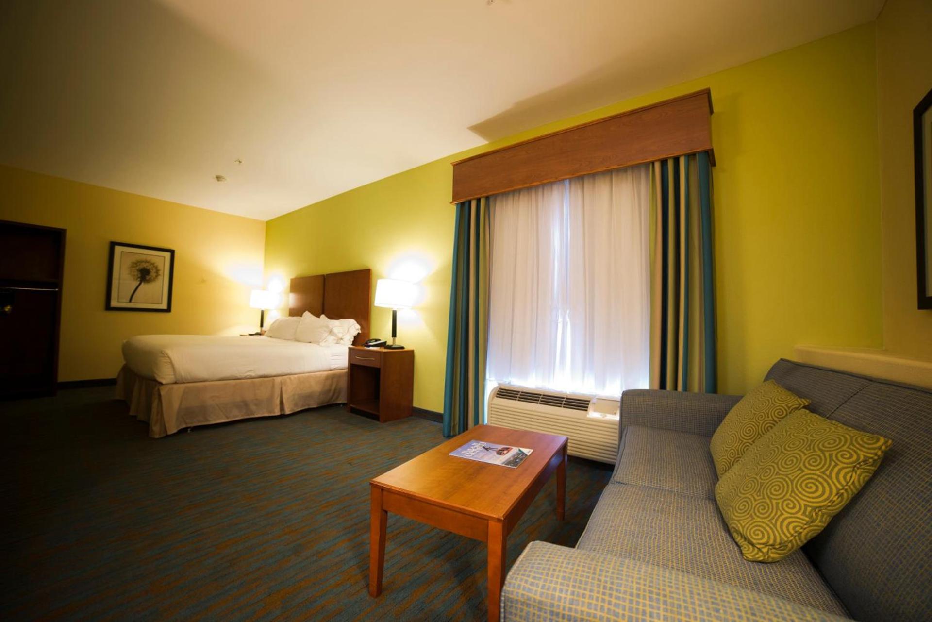 Holiday Inn Express Hotel & Suites Atlanta East - Lithonia by IHG photo 25