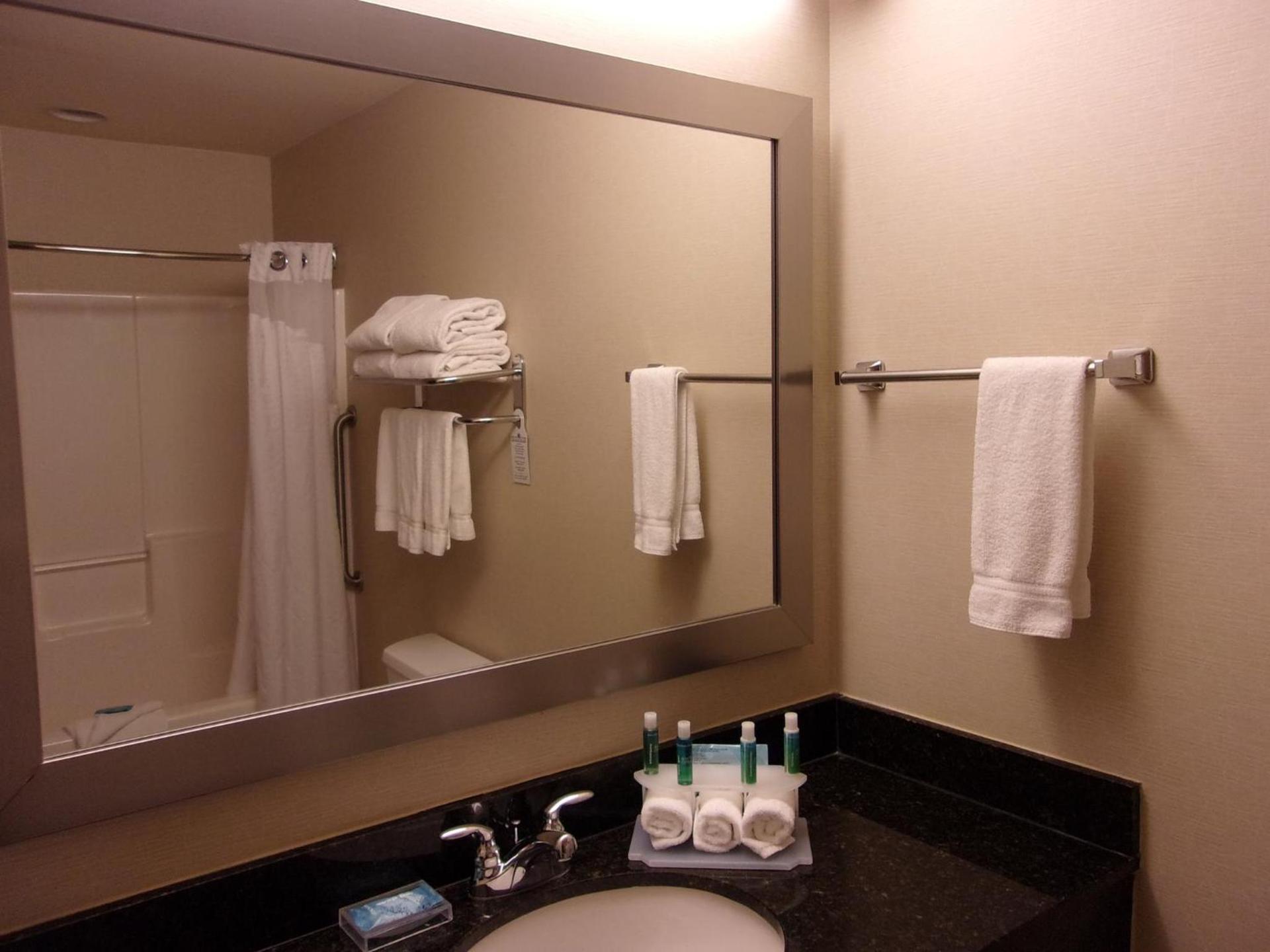 Holiday Inn Express Hotel & Suites Chicago West Roselle by IHG photo 38