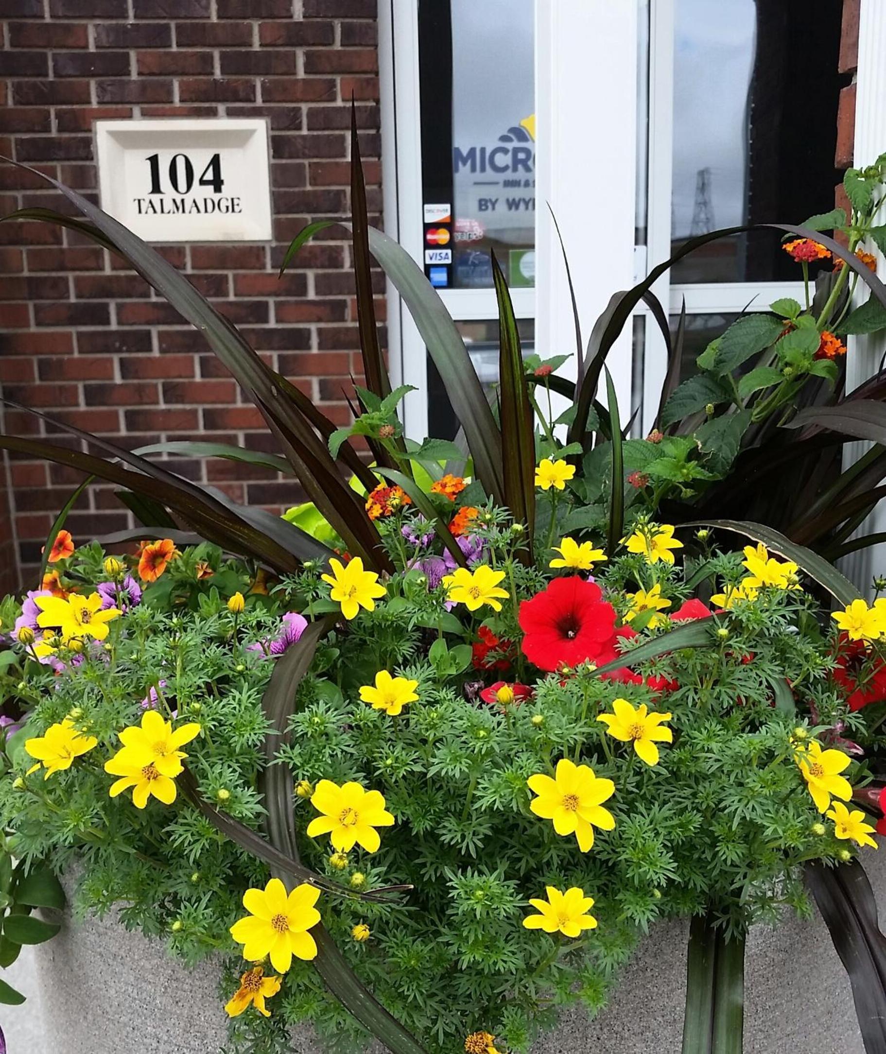 Microtel Inn & Suites - Kearney photo 24
