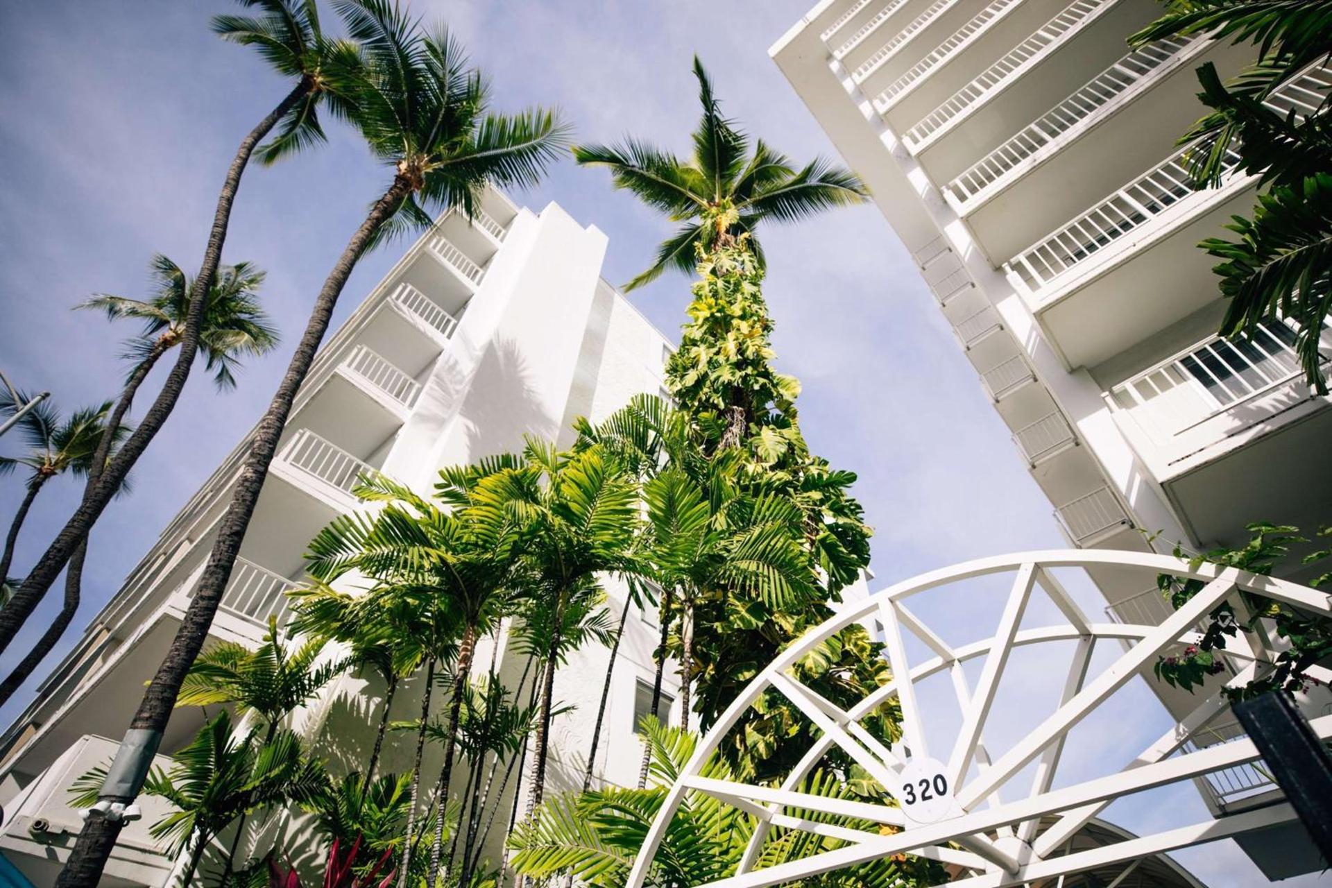 Oasis Hotel Waikiki photo 28
