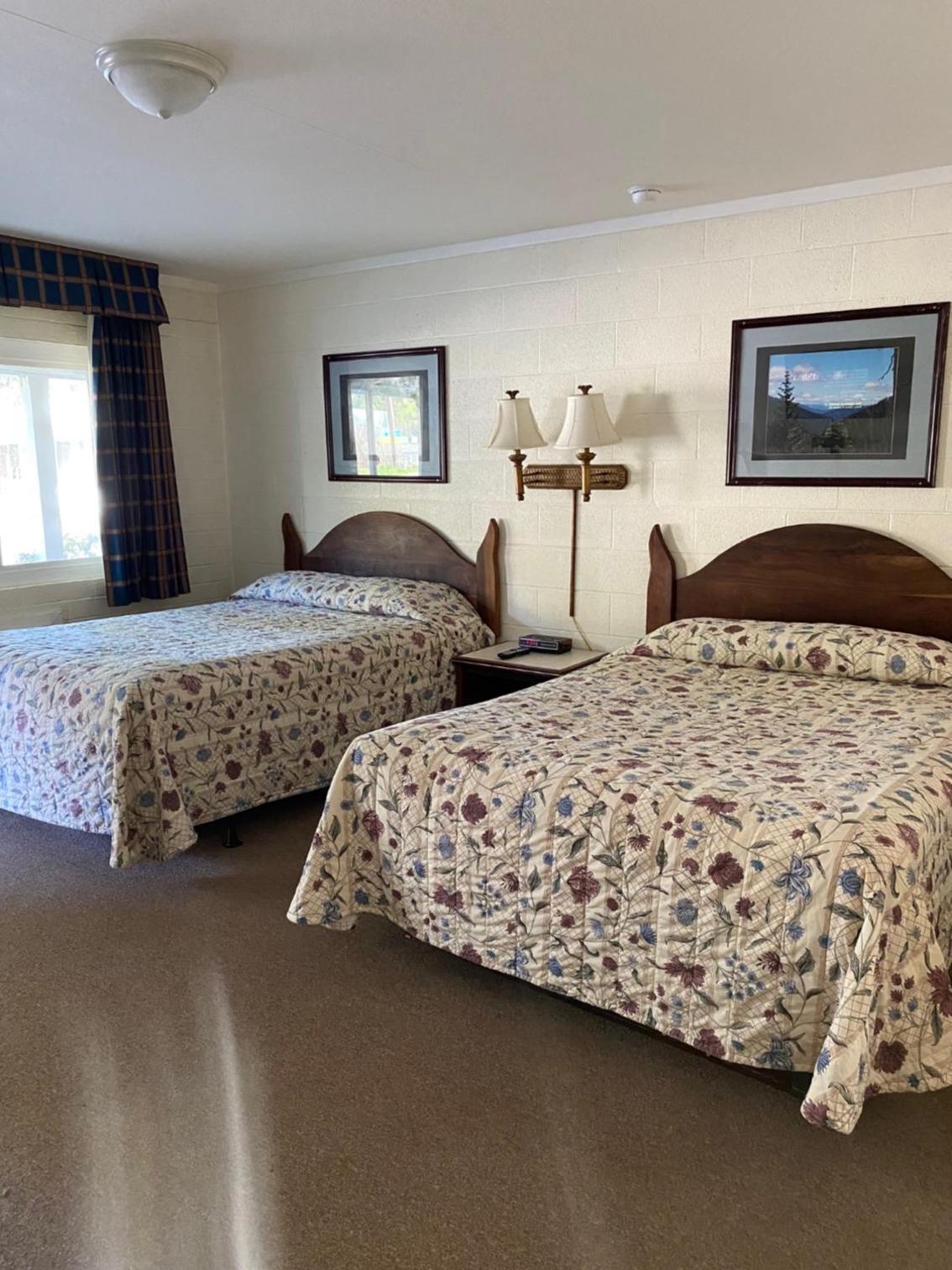 Forest Lodge Motel photo 3